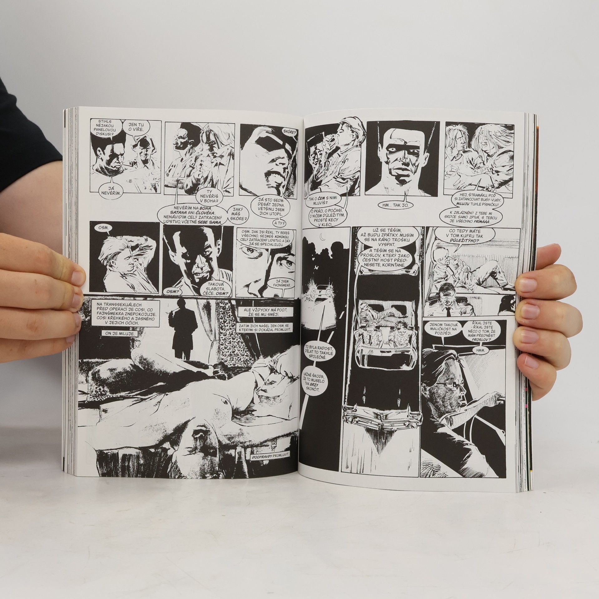 Neil Gaiman Sandman. Domeček pro panenky