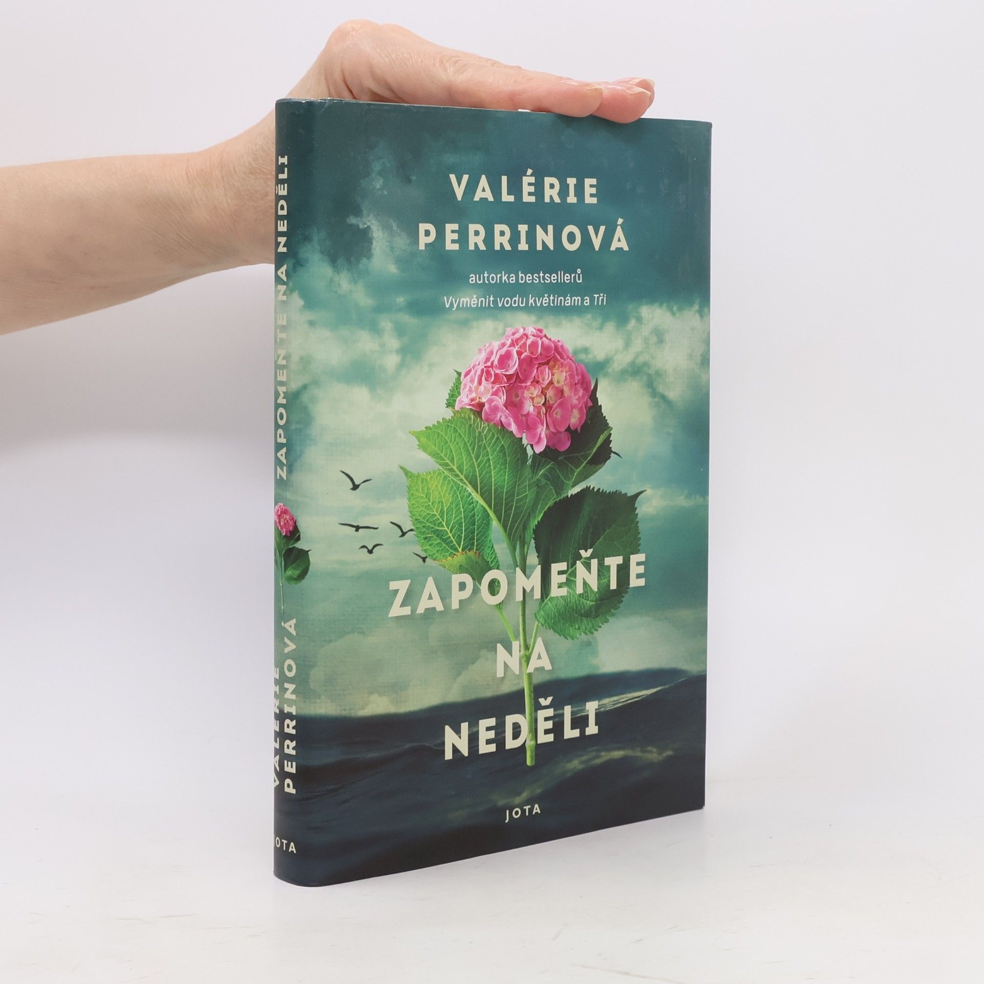 Valérie Perrin Zapomeňte na neděli