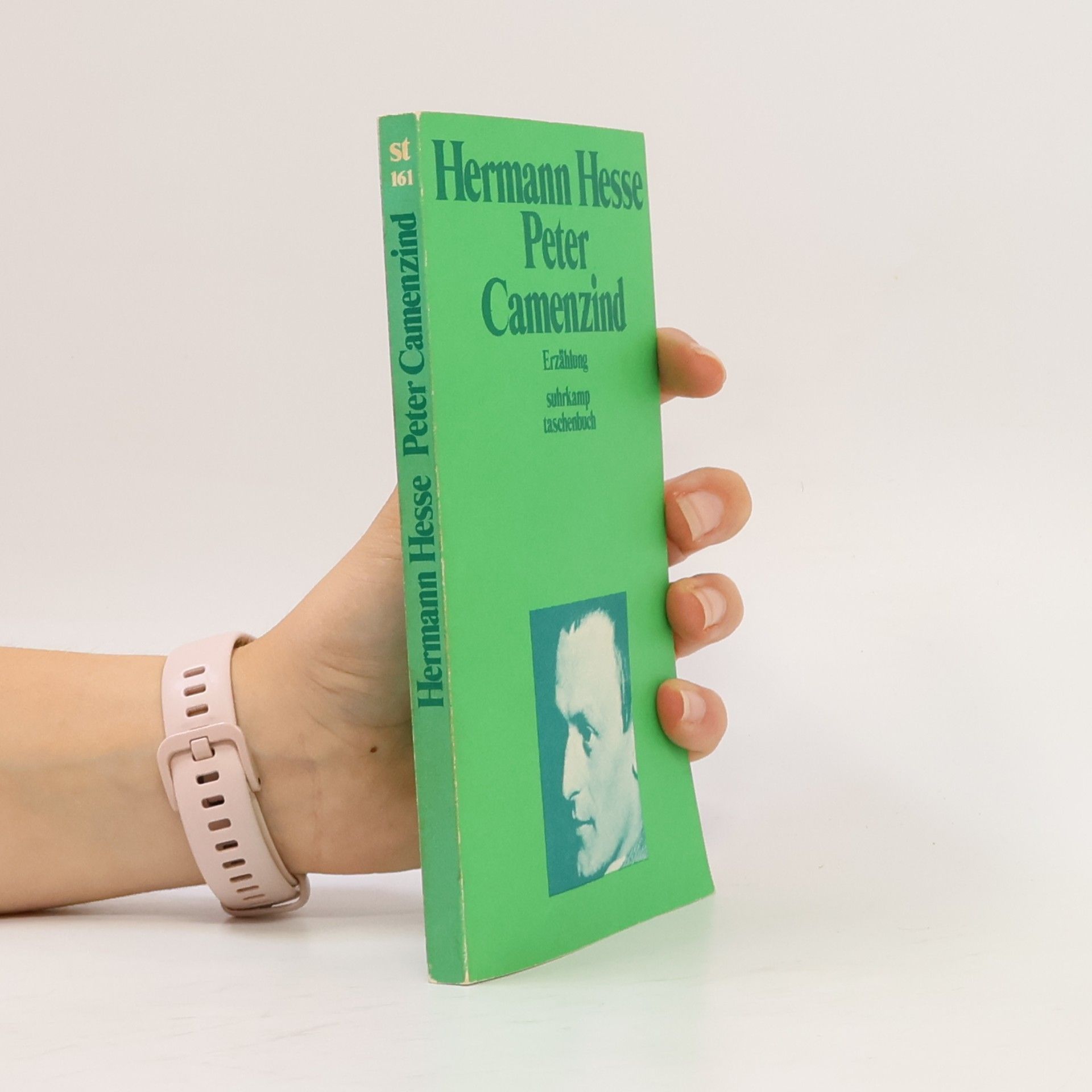 Hermann Hesse Peter Camenzind