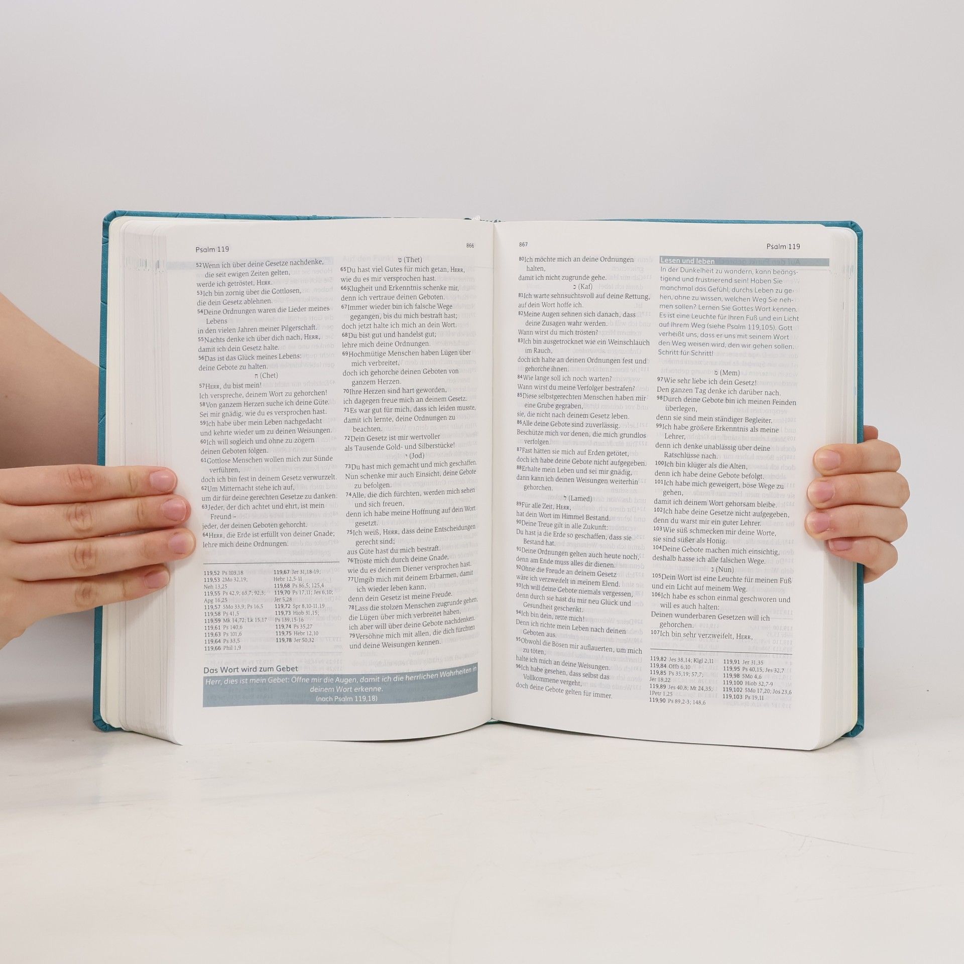 R. SCM Brockhaus Die Bibel. Lesen. Glauben. Leben.