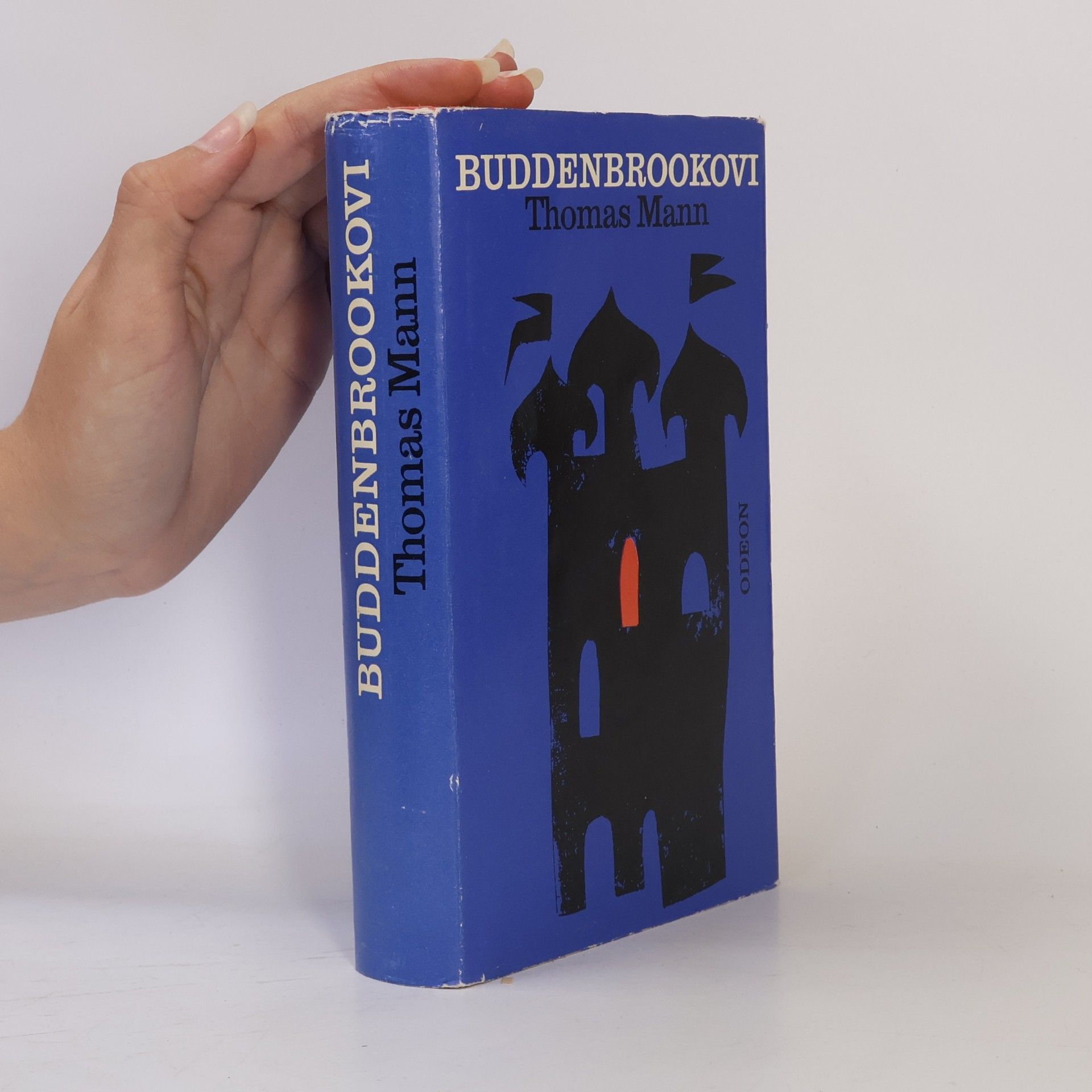 Thomas Mann Buddenbrookovi