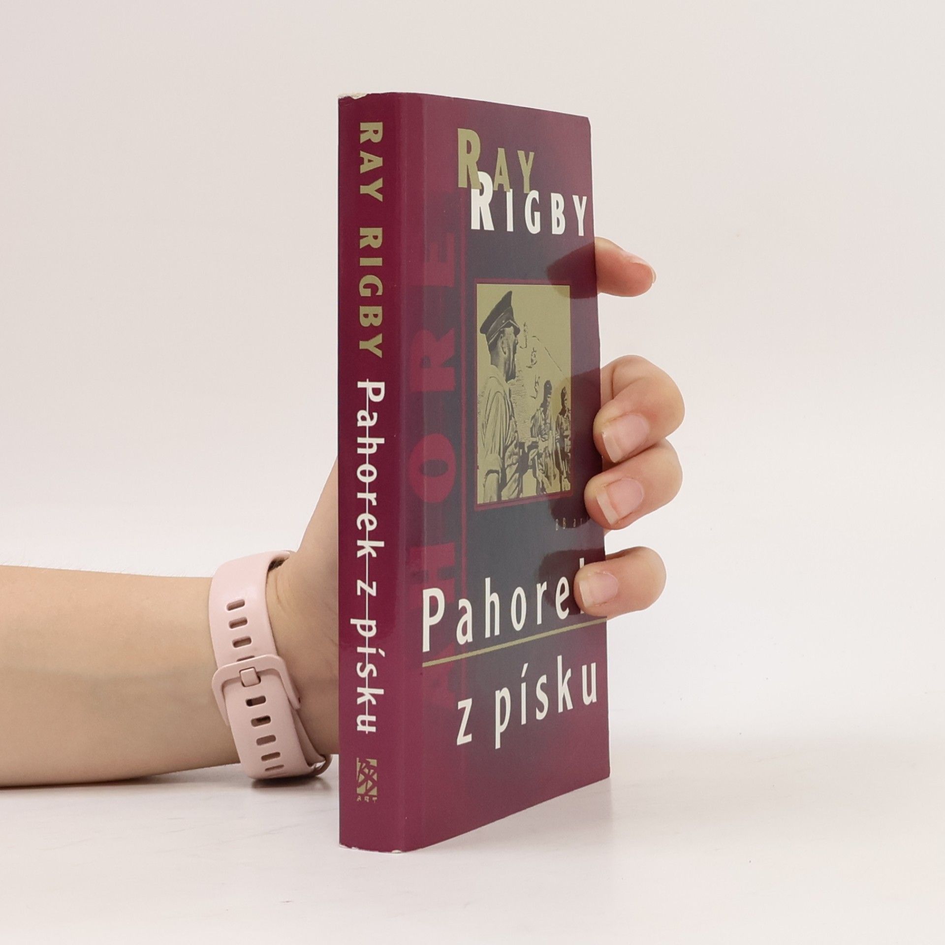 Ray Rigby Pahorek z písku