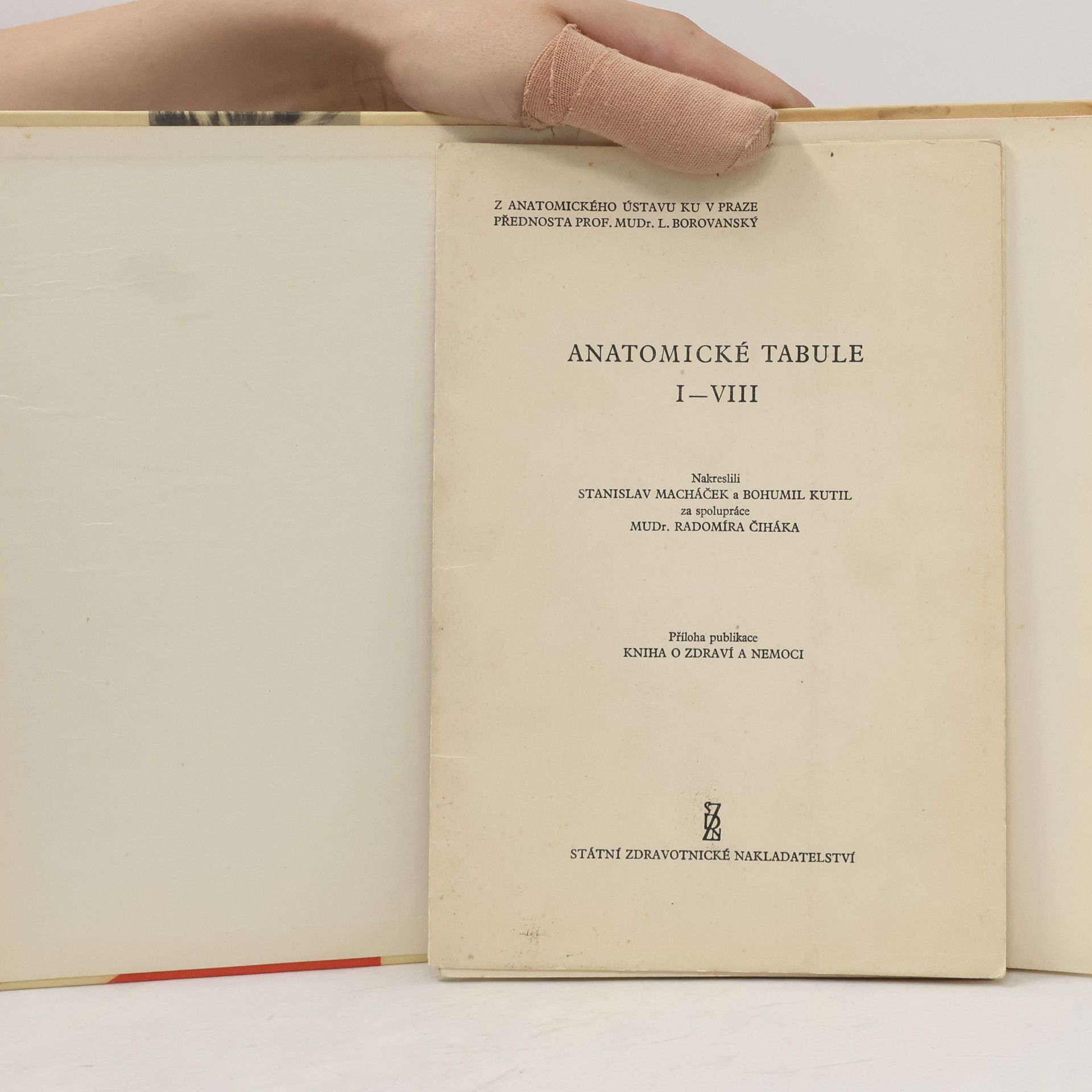 Autorenkollektiv Biologie dítěte a školní hygiena