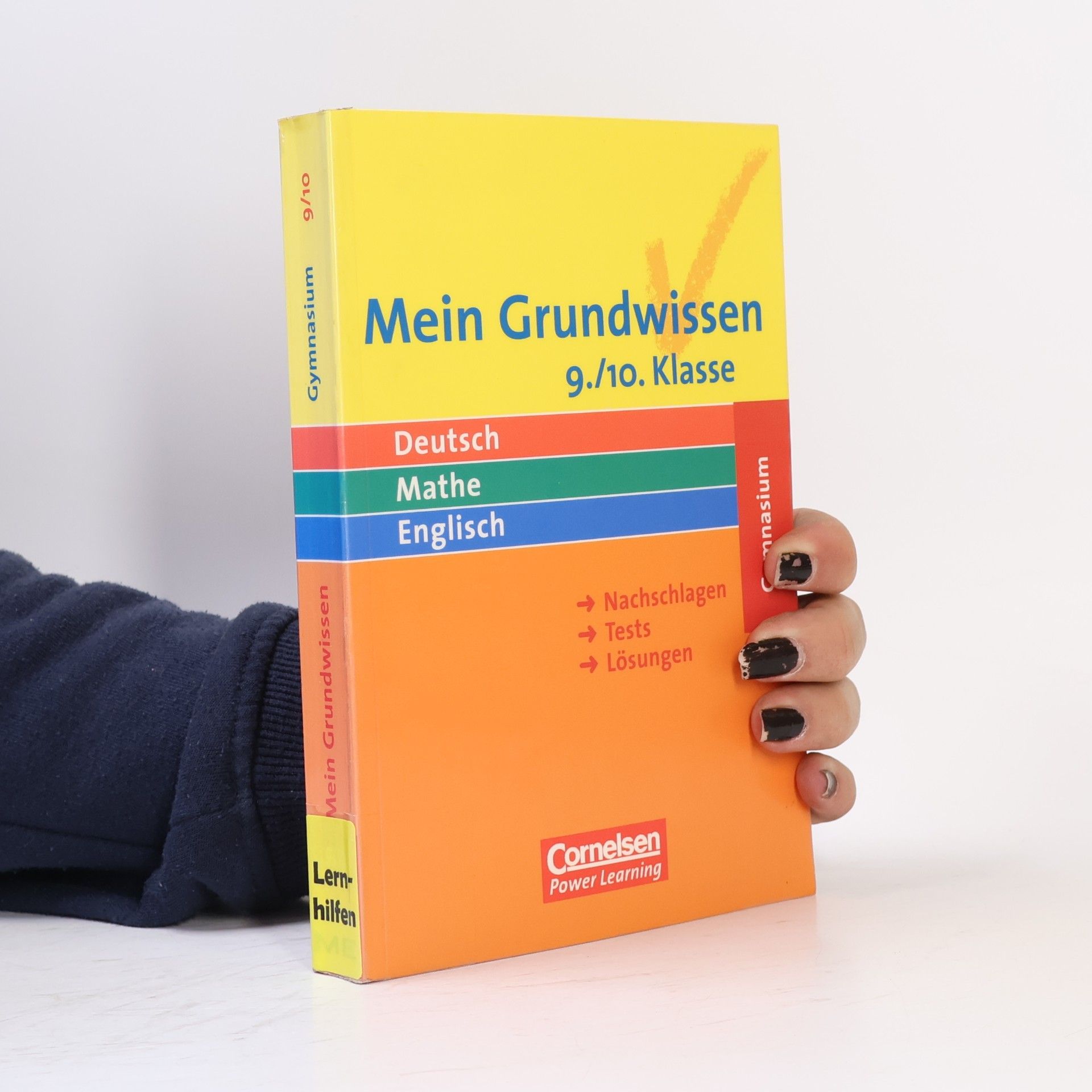 Dagmar Lemme Mein Grundwissen 9./10. Klasse