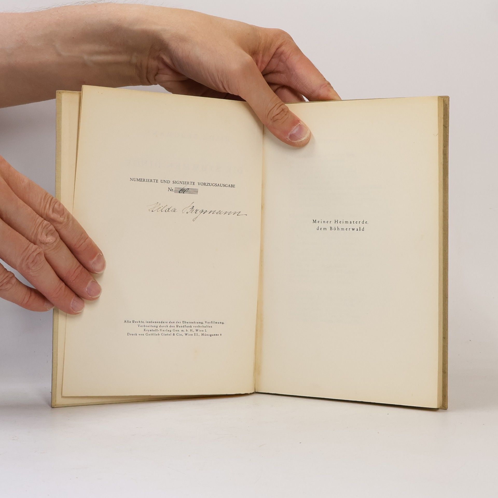 Hilda Bergmann Die stummen Dinge