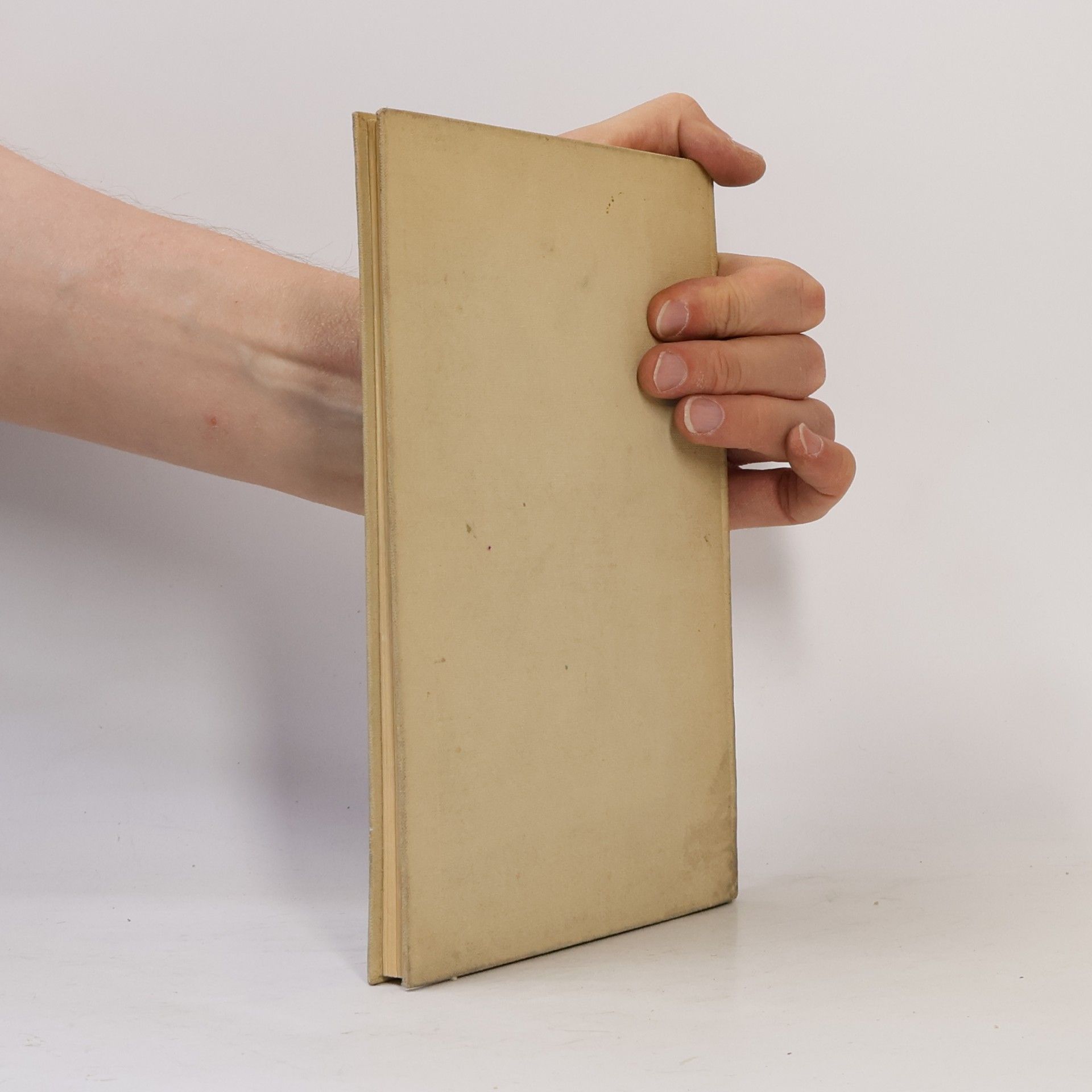 Hilda Bergmann Die stummen Dinge