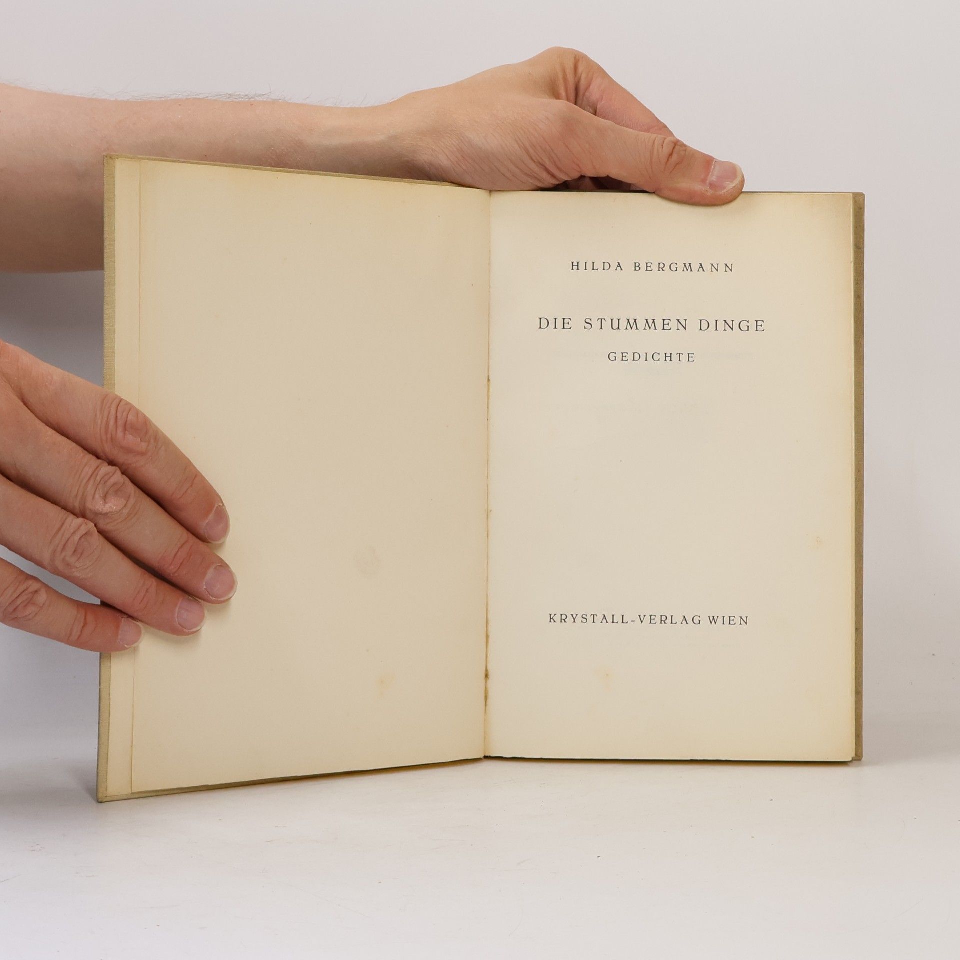 Hilda Bergmann Die stummen Dinge