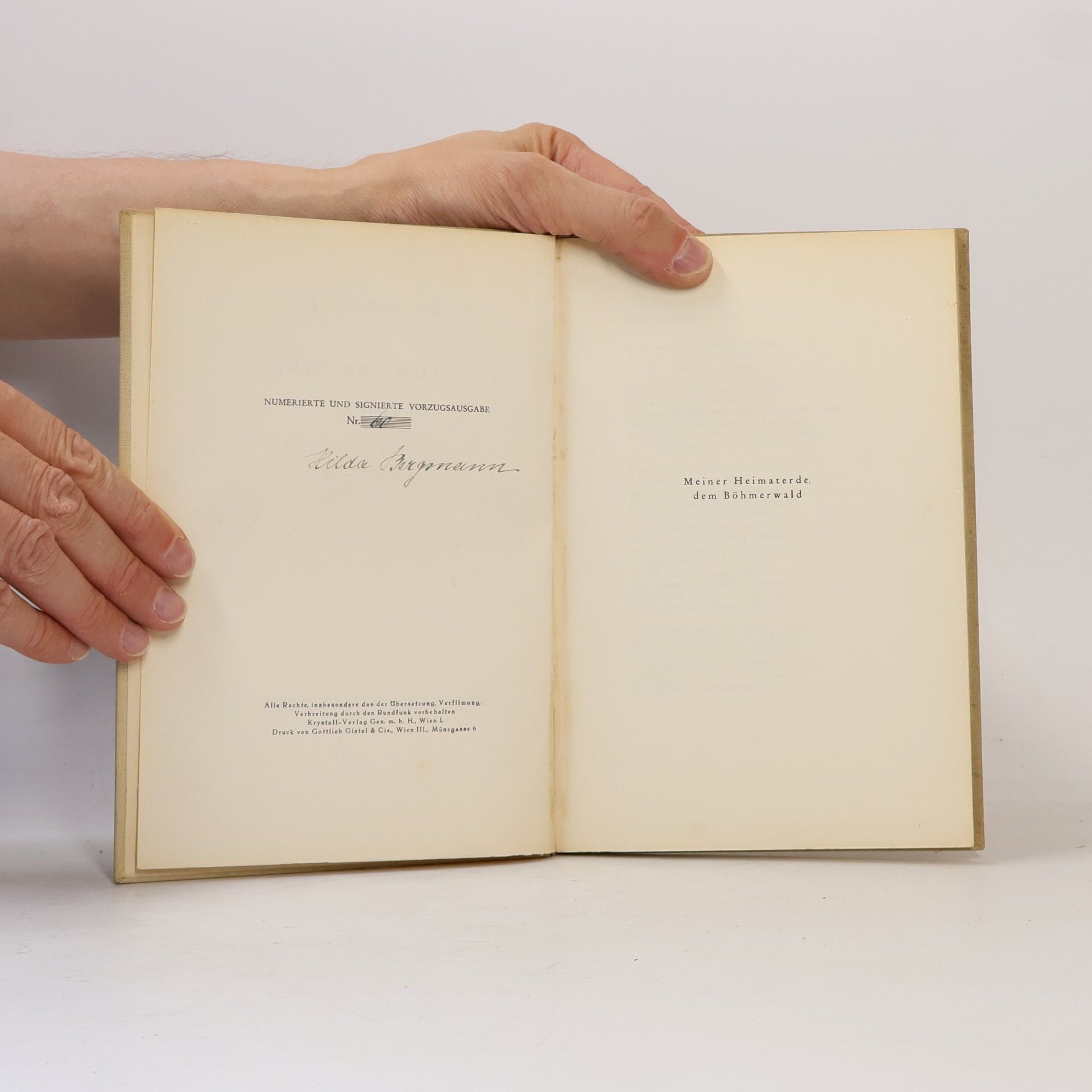 Hilda Bergmann Die stummen Dinge