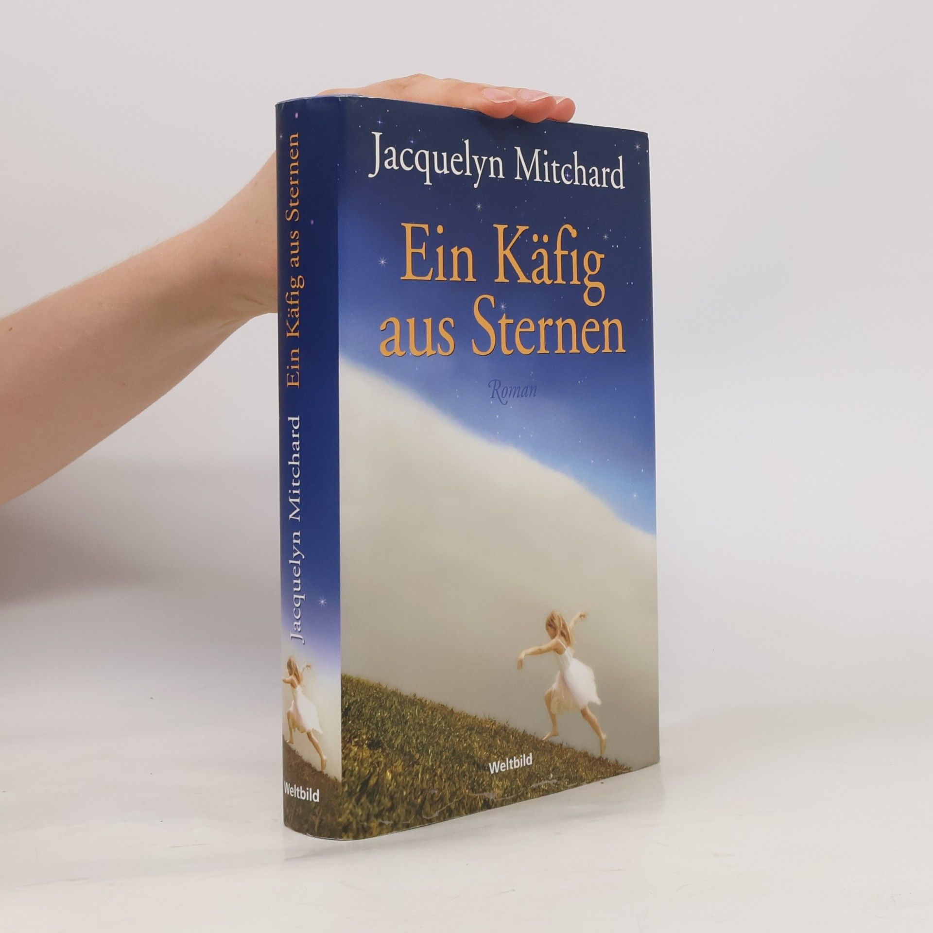 Jacquelyn Mitchard Ein Käfig aus Sternen
