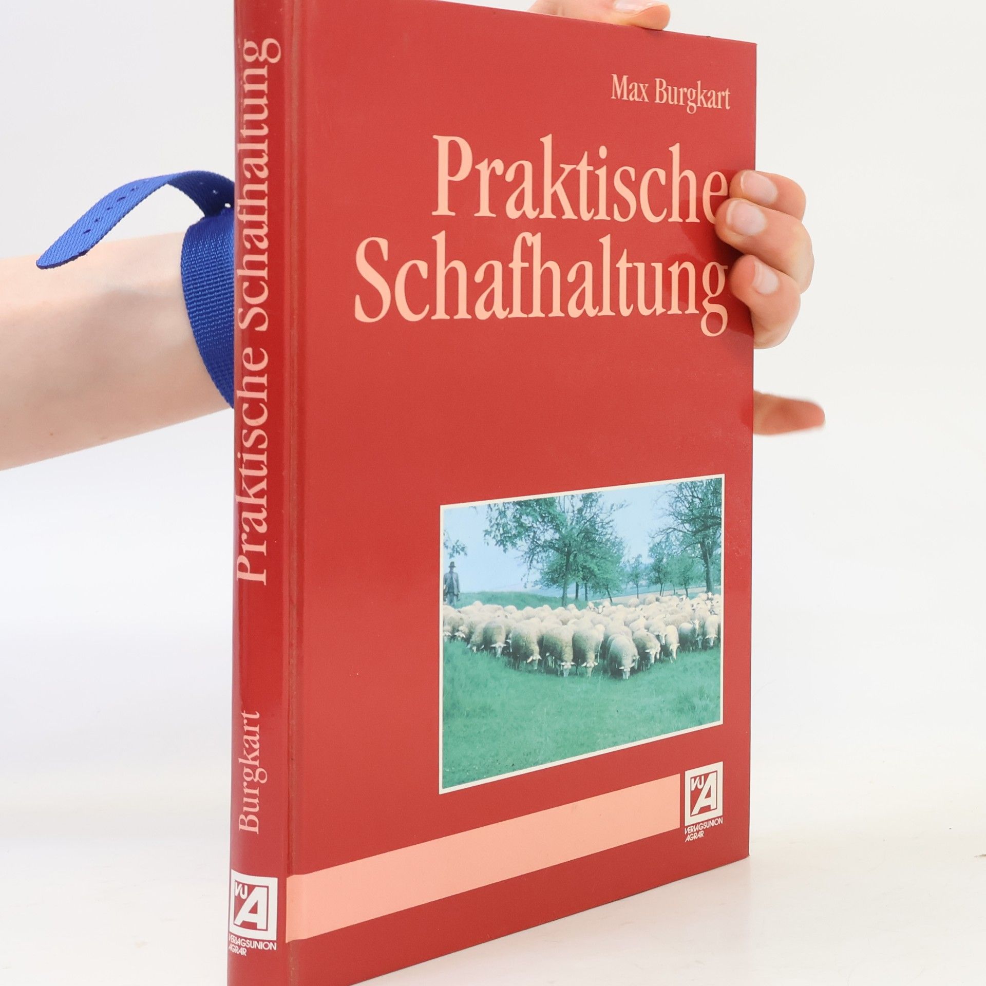 Praktische Schafhaltung