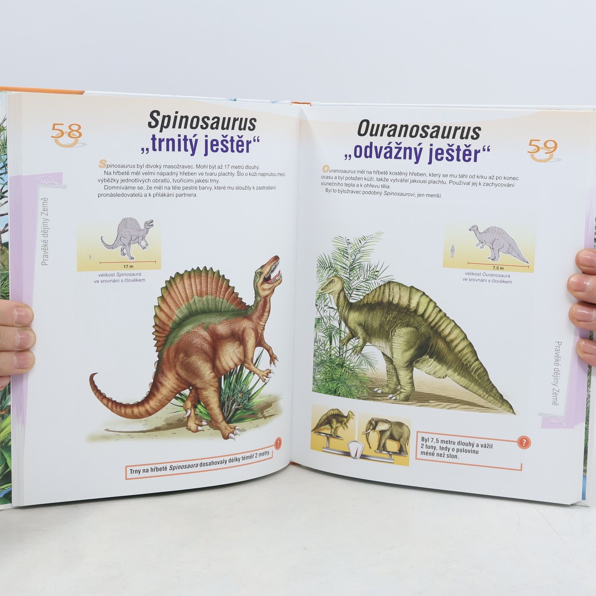 Autorenkollektiv Encyklopedie : Dinosauři a Pravěký svět