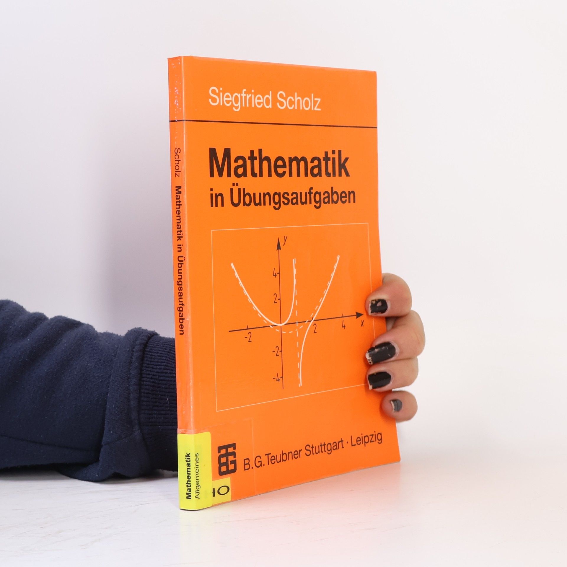 Siegfried Scholz Mathematik in Übungsaufgaben