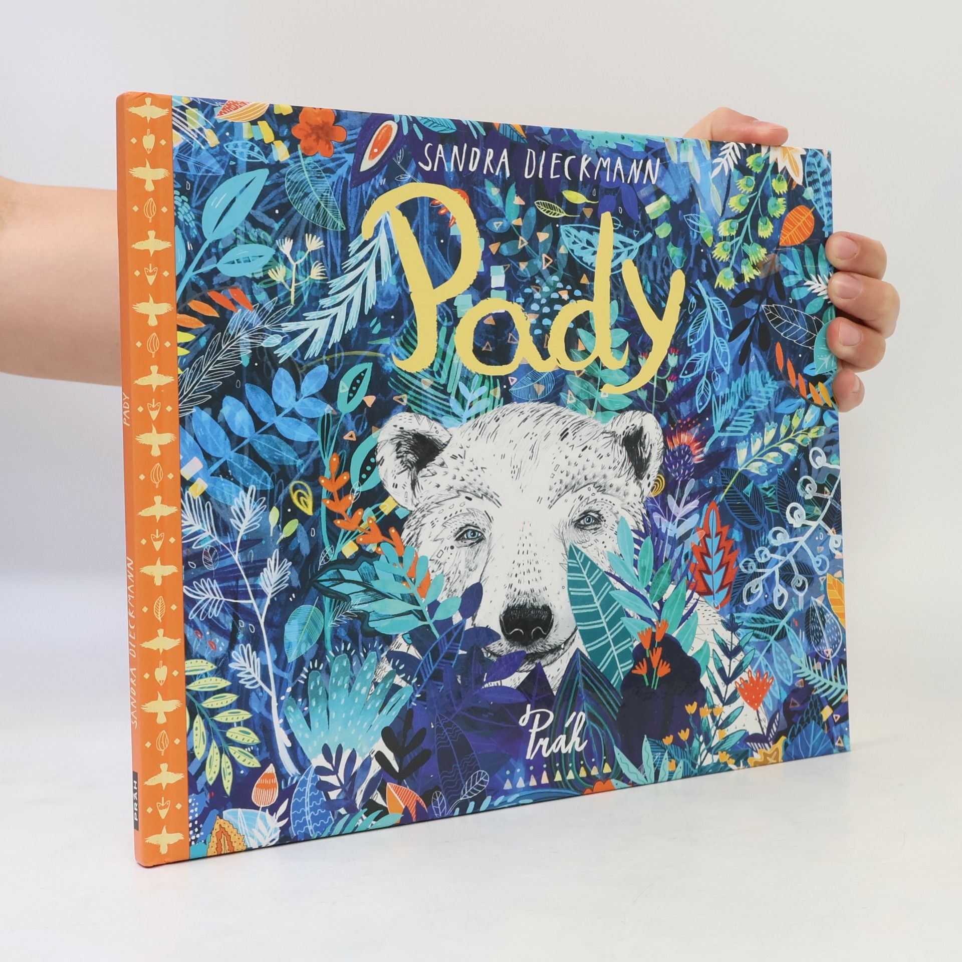 Sandra Dieckmann Pady