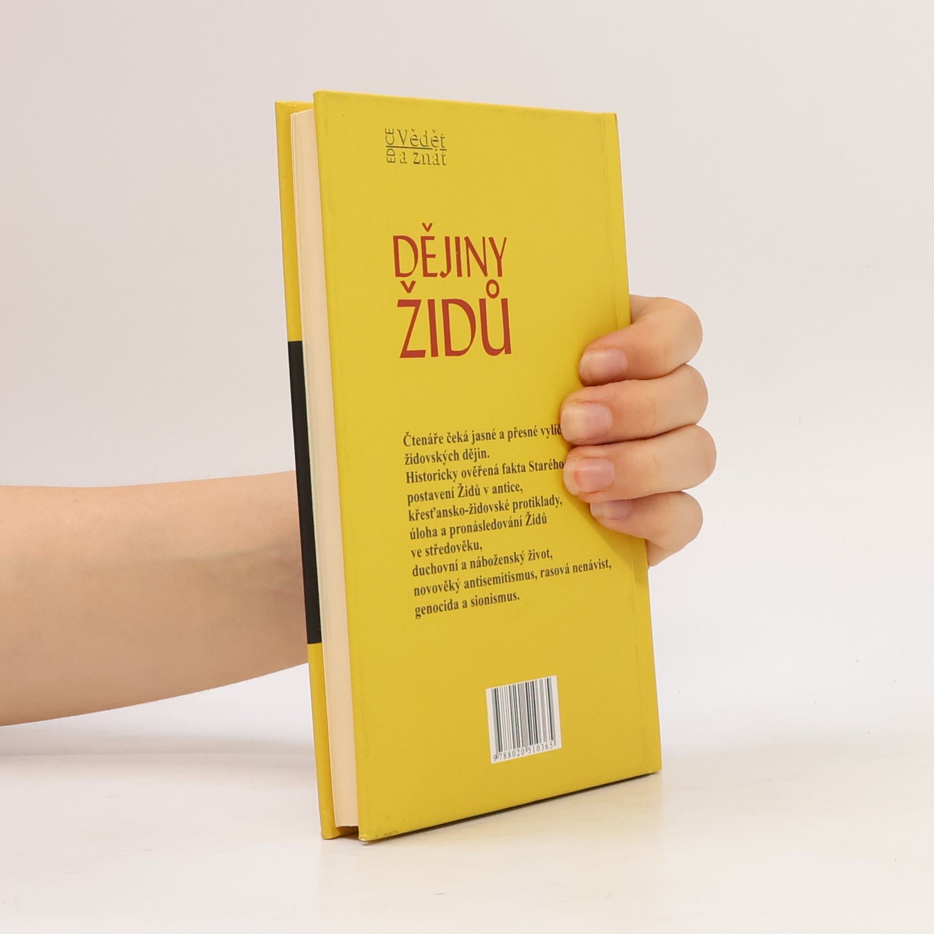 Kurt Schubert Dějiny Židů