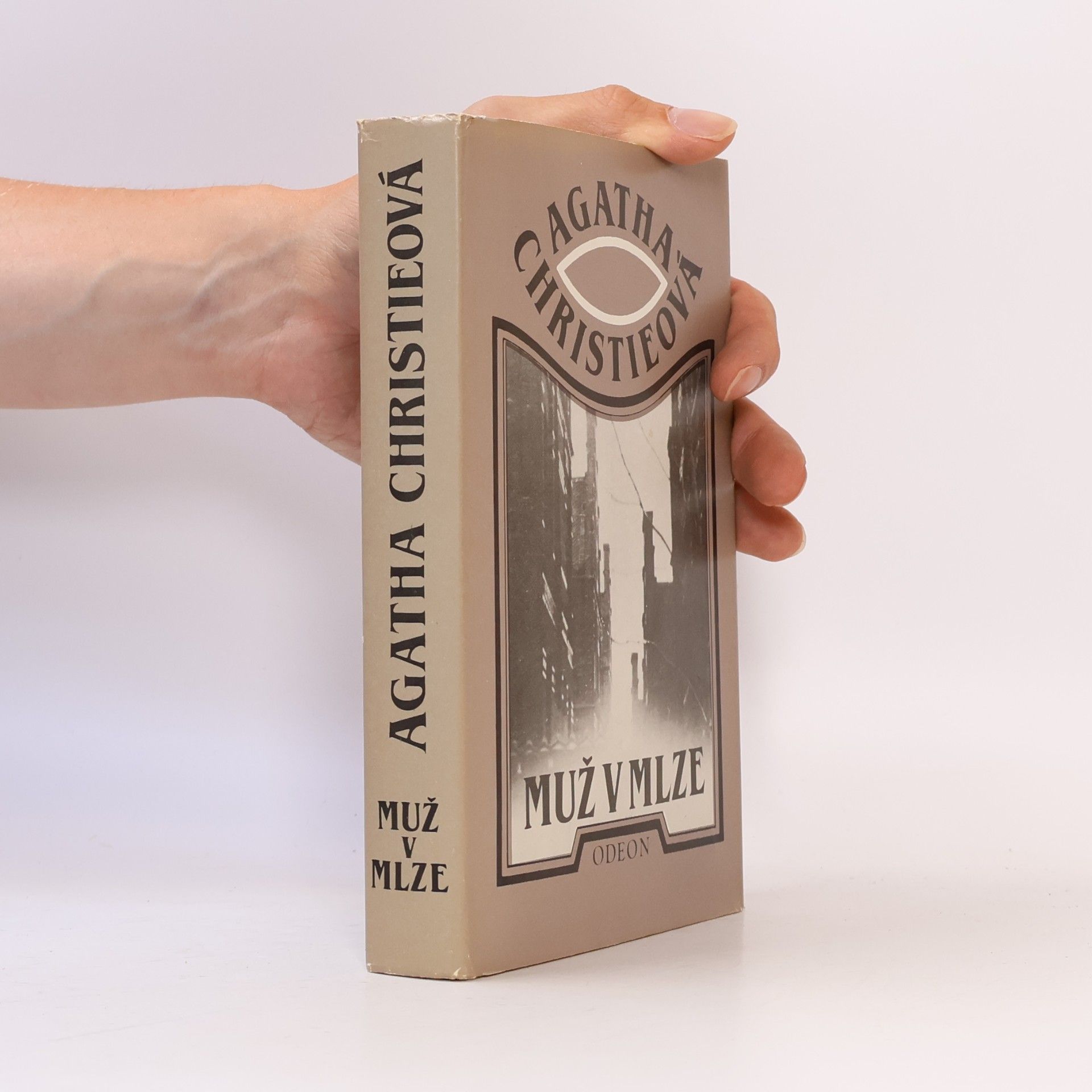 Agatha Christie Muž v mlze
