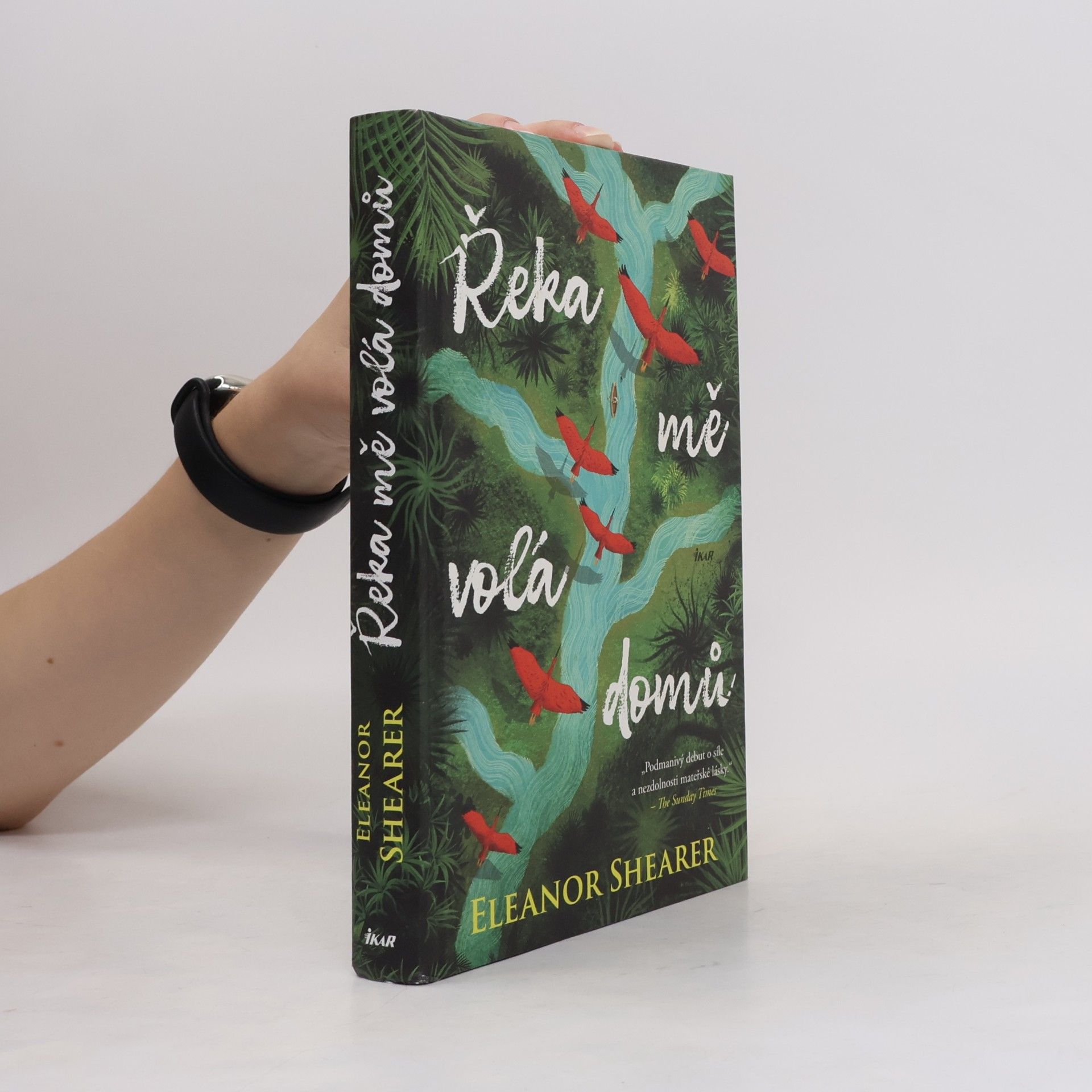 Petra Diestlerová Řeka mě volá domů