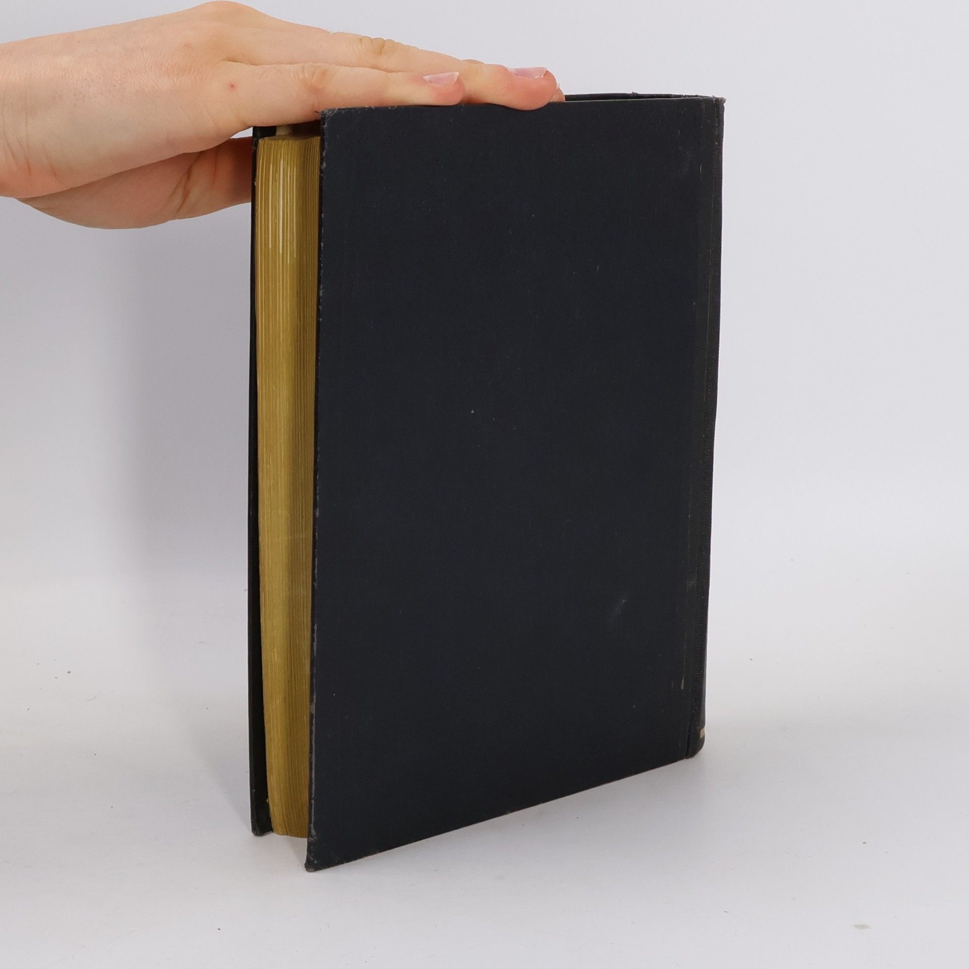 Antonín Špale Bible. Její postavy a děje
