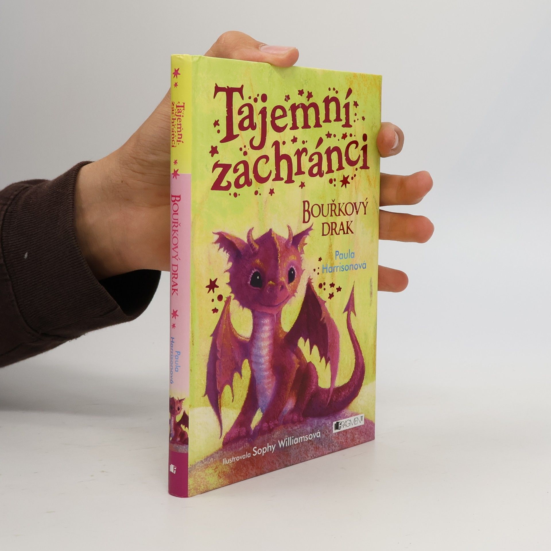 Paula Harrison Tajemní zachránci - Bouřkový drak