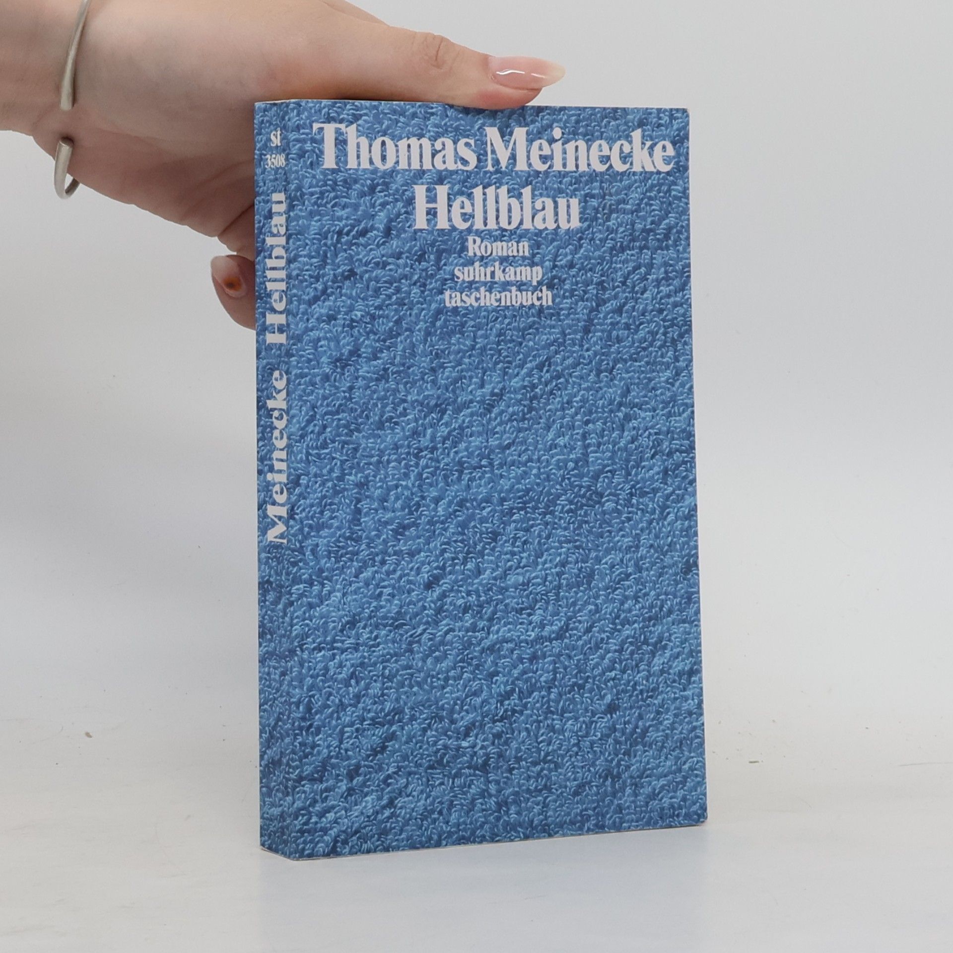 Thomas Meinecke Hellblau