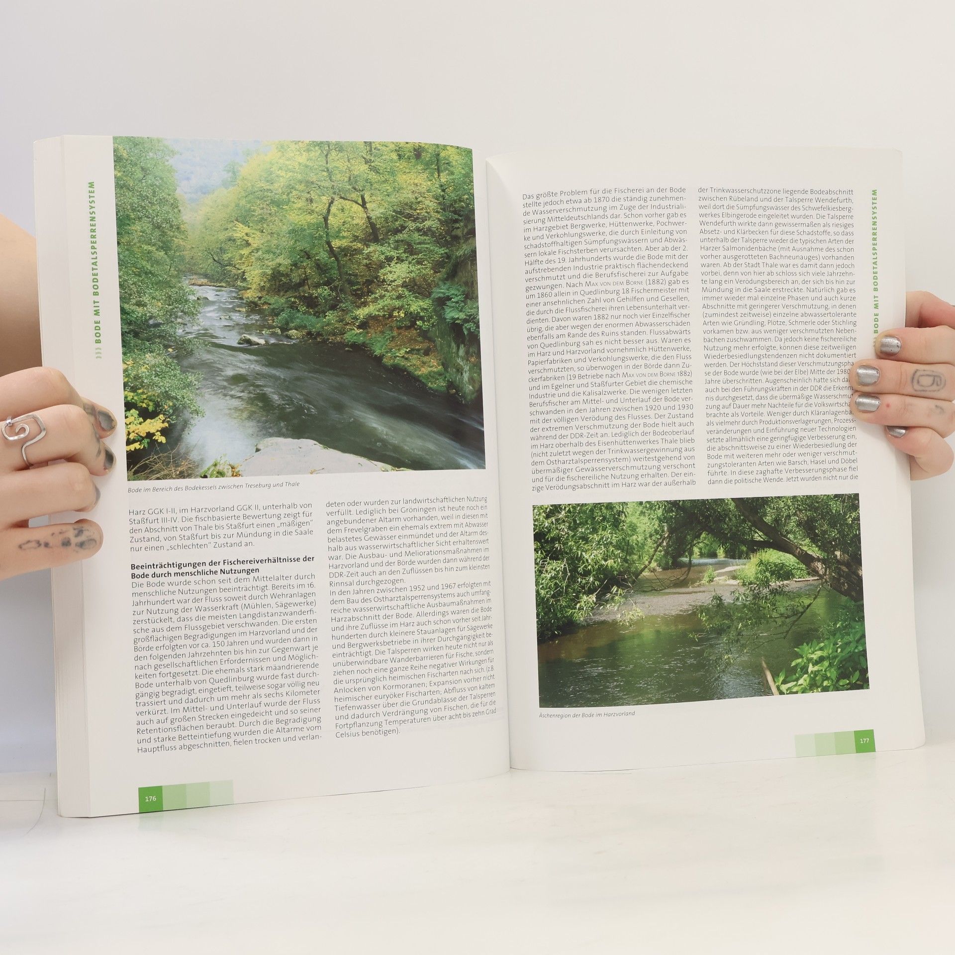 kolektiv Fischarten und Fischgewässer in Sachsen-Anhalt