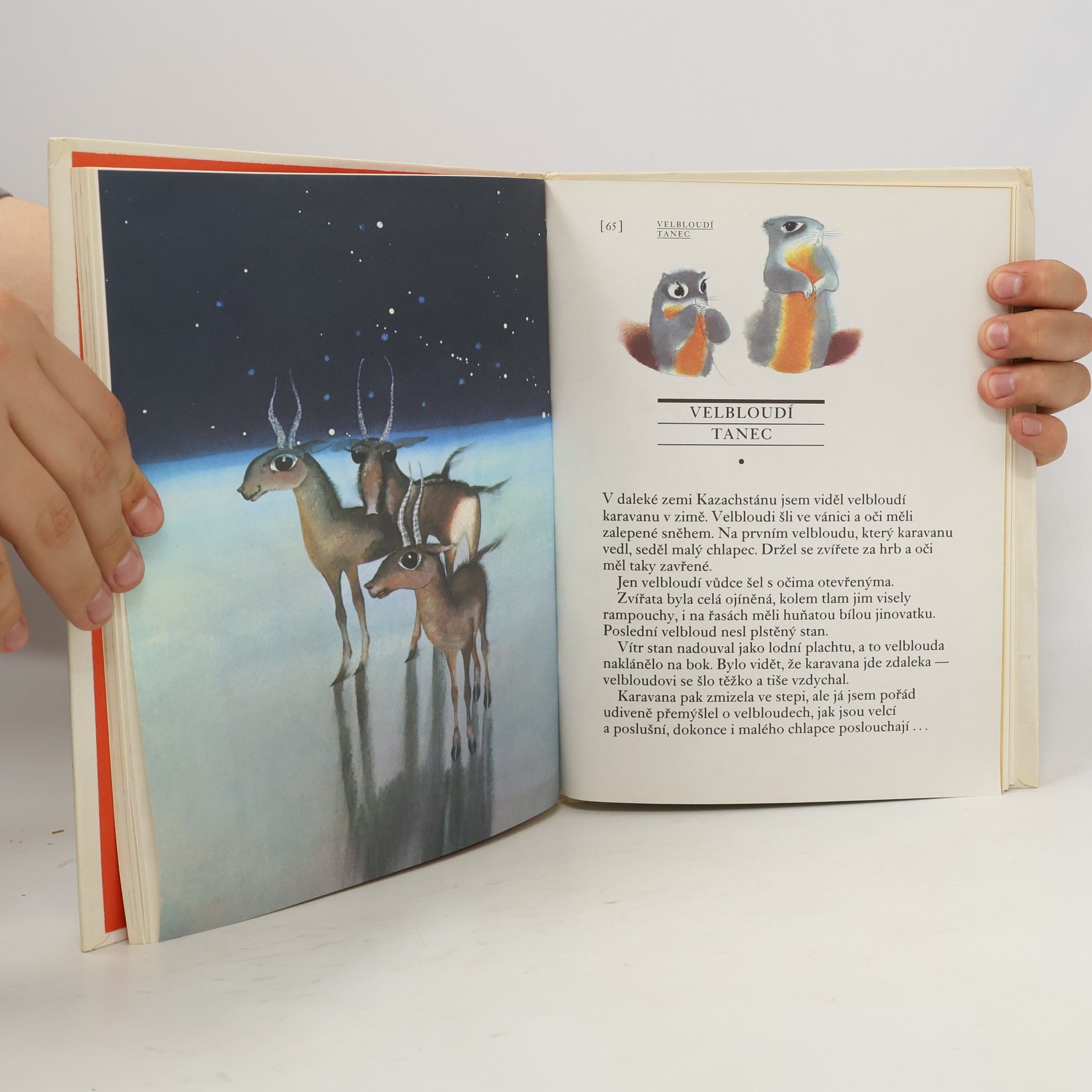 Gennadij Jakovlevič Snegirev Za zvířátky na kraj světa