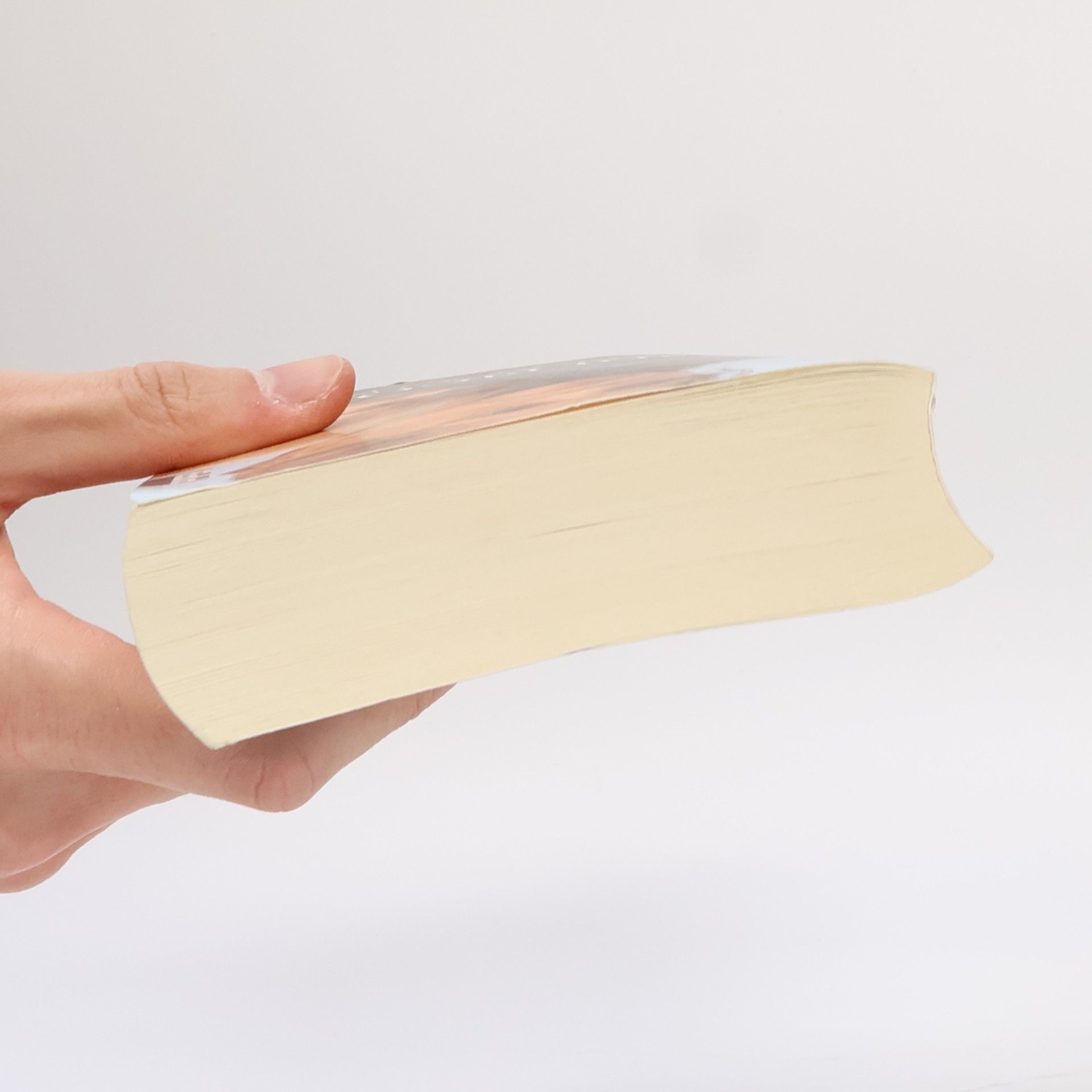 Jodi Picoult Die Macht des Zweifels