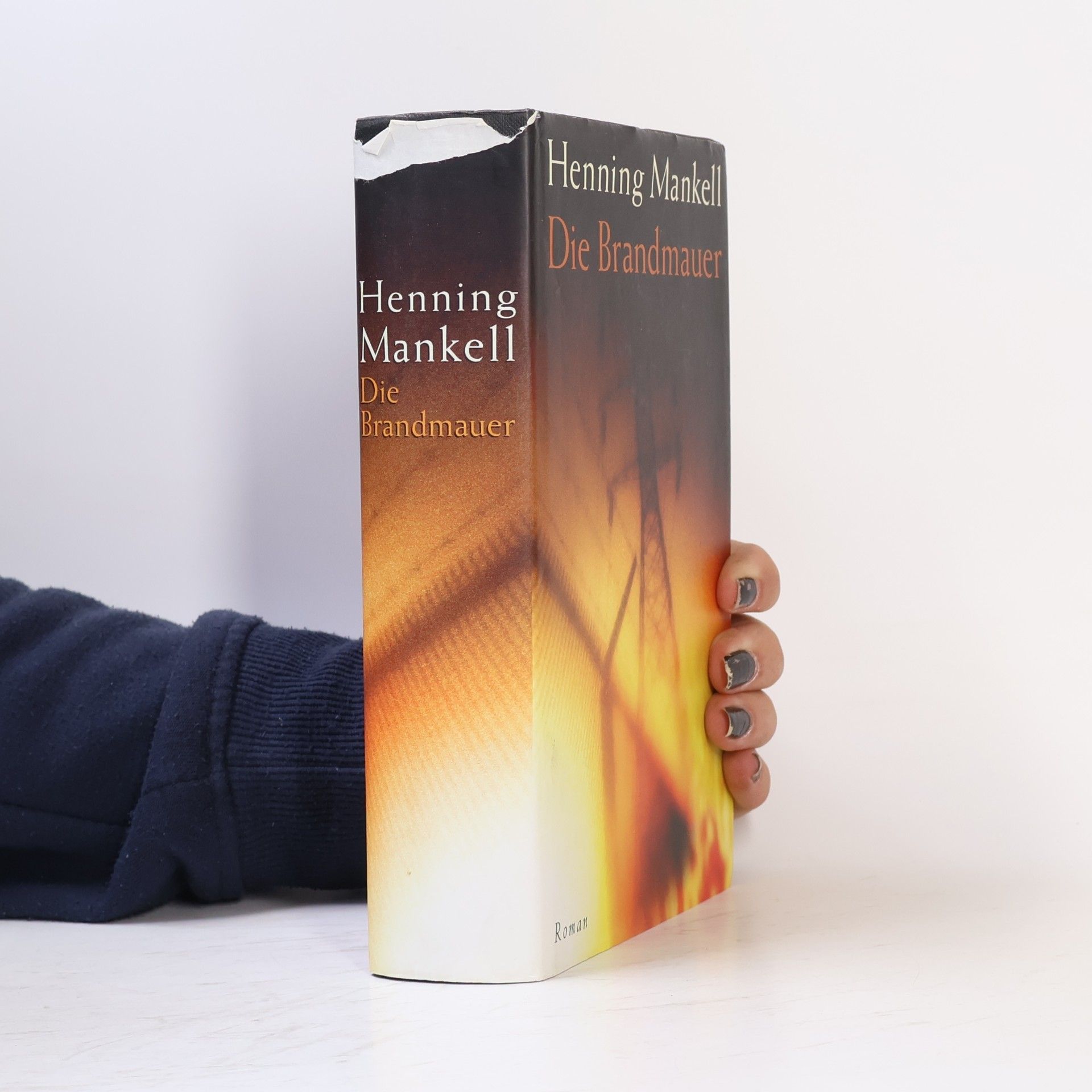 Henning Mankell Die Brandmauer