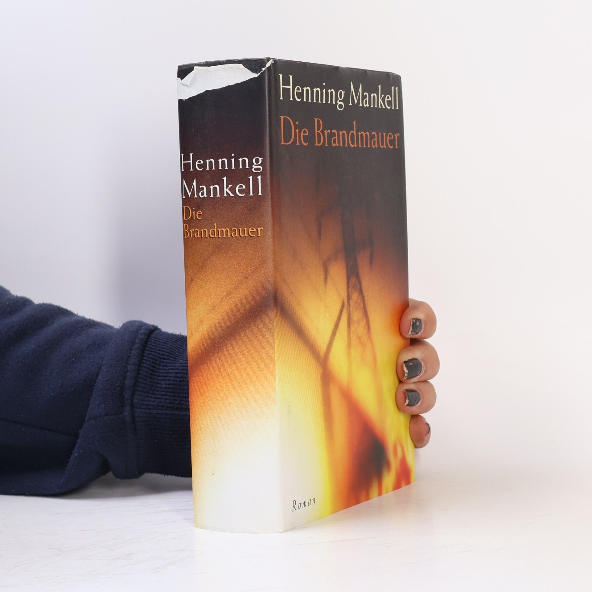 Henning Mankell Die Brandmauer