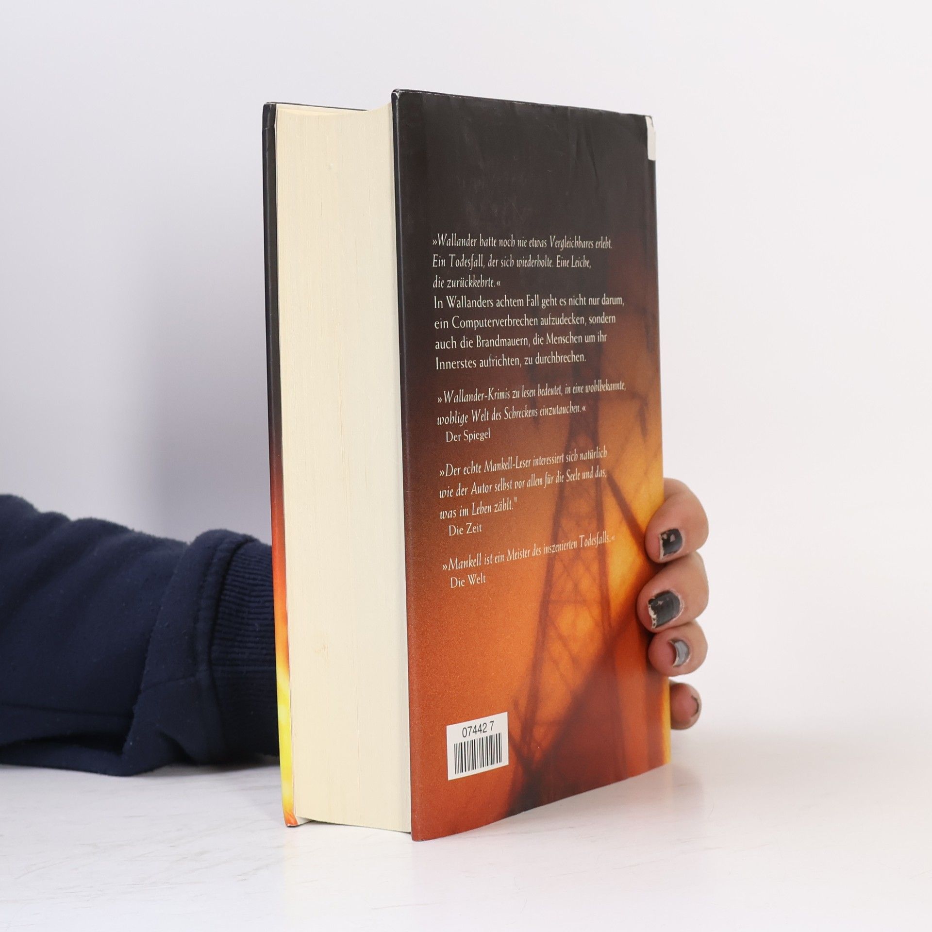 Henning Mankell Die Brandmauer