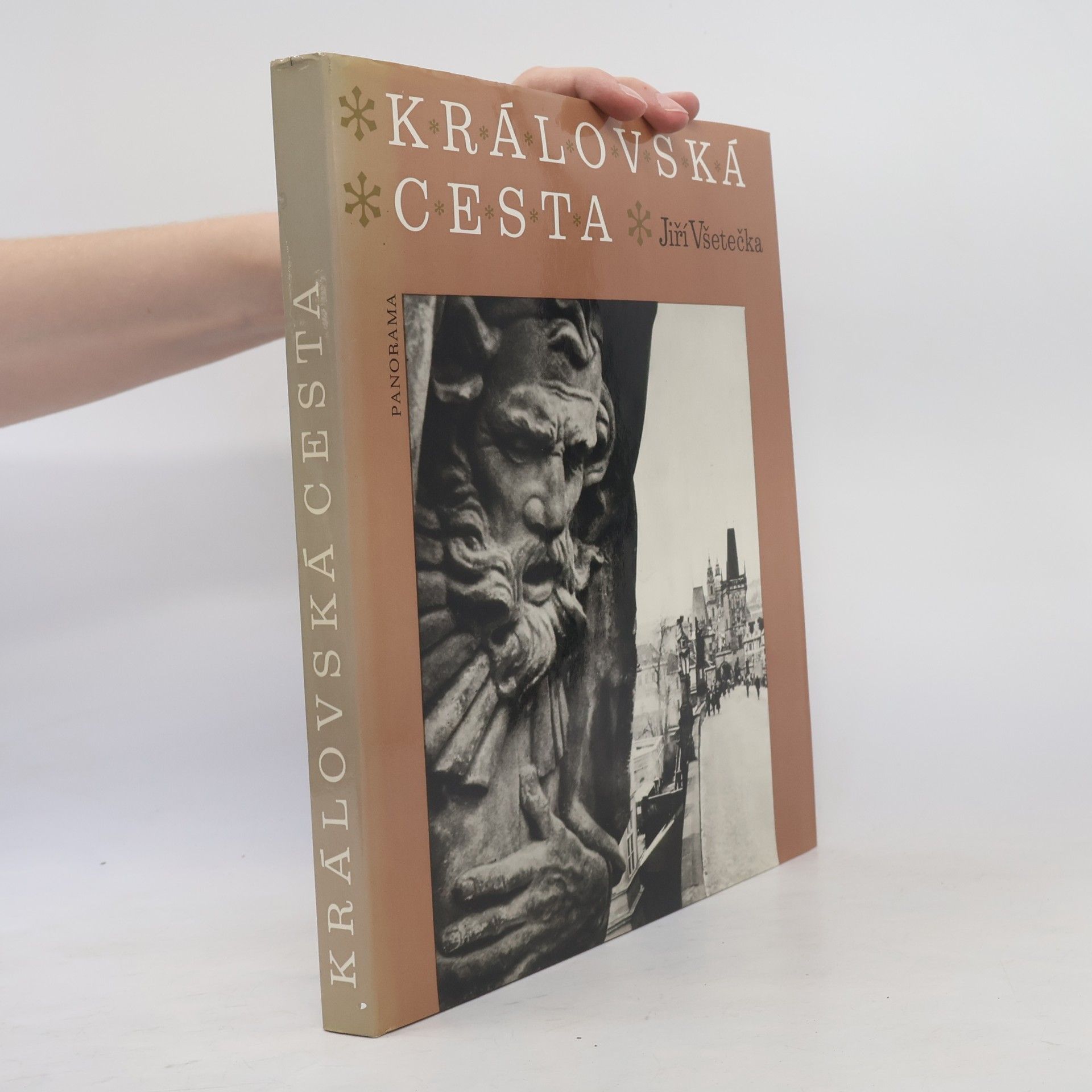 Jiri Vsetecka Královská cesta