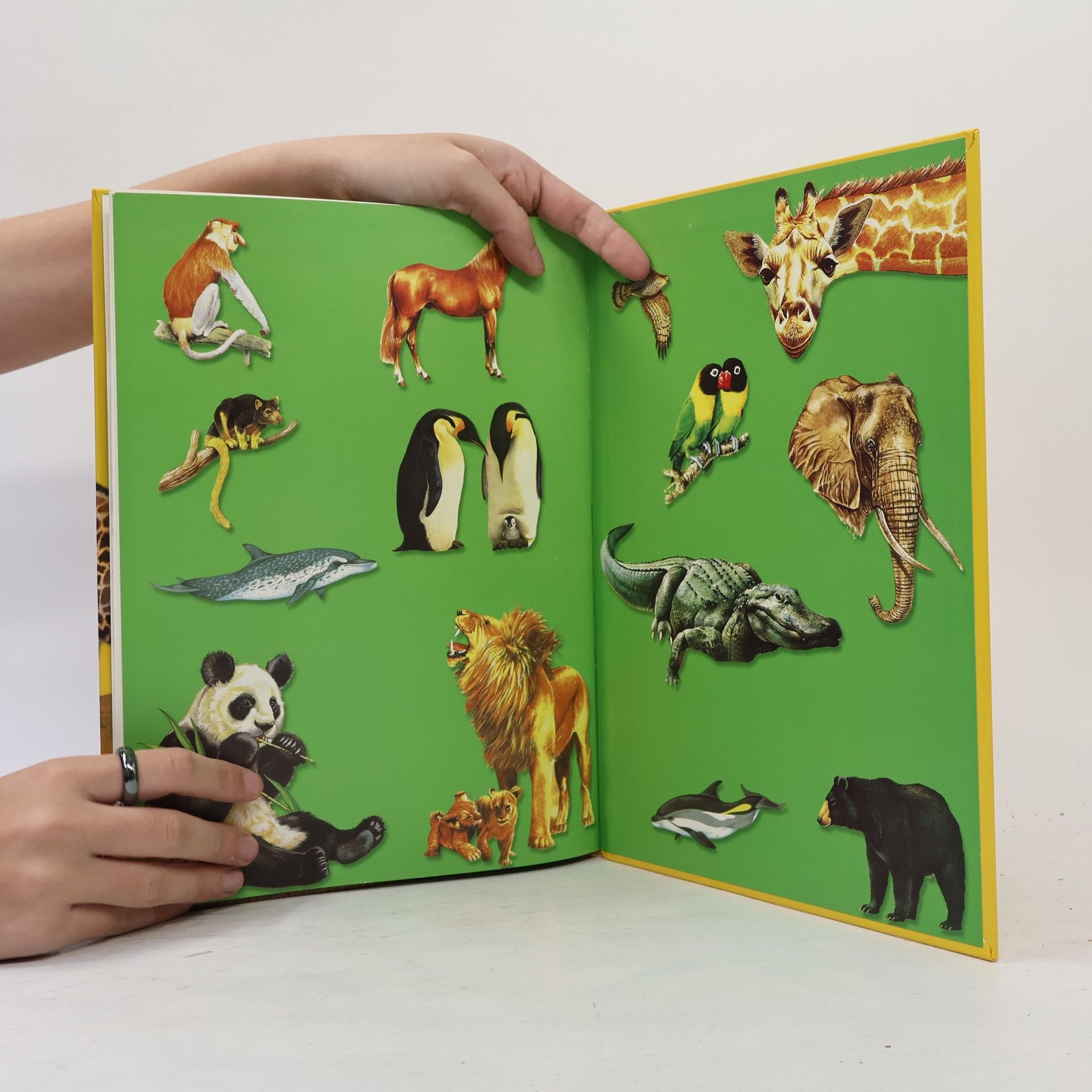 Kolektív autorov Dr. Pfiffikus Kinderwissen Tiere
