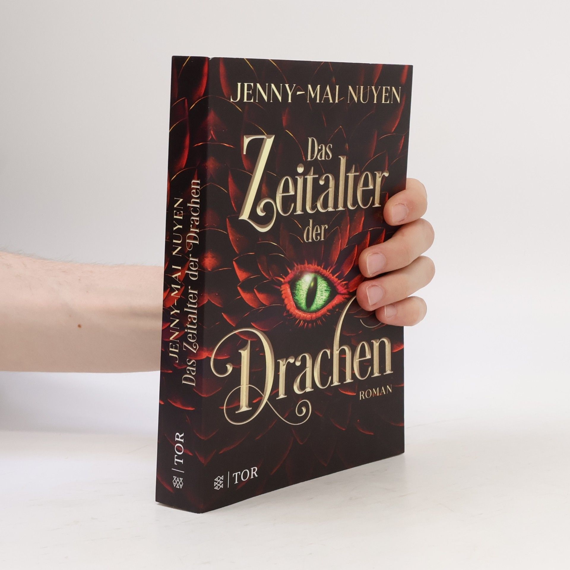 Jenny-Mai Nuyen Das Zeitalter der Drachen