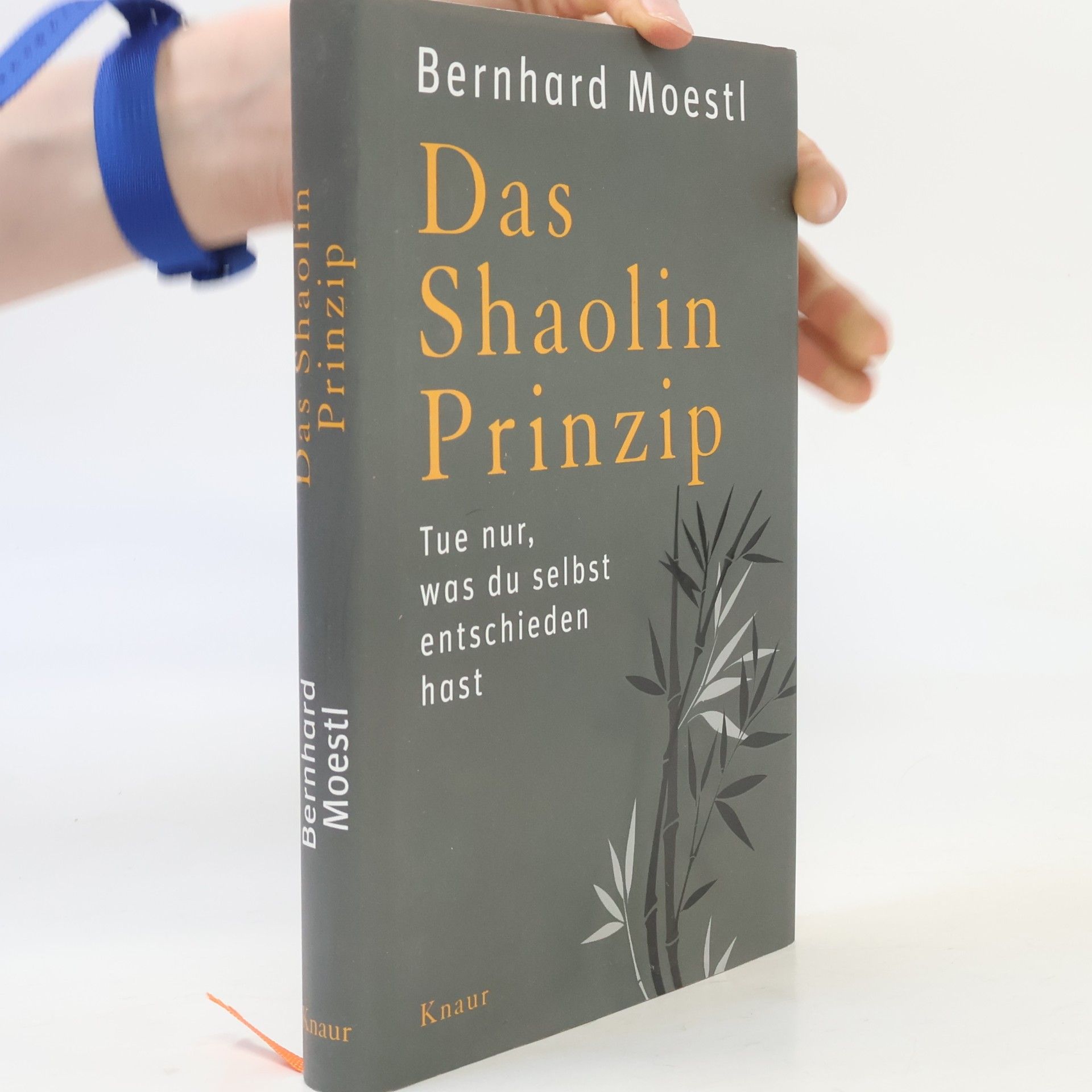 Bernhard Moestl Das Shaolin-Prinzip