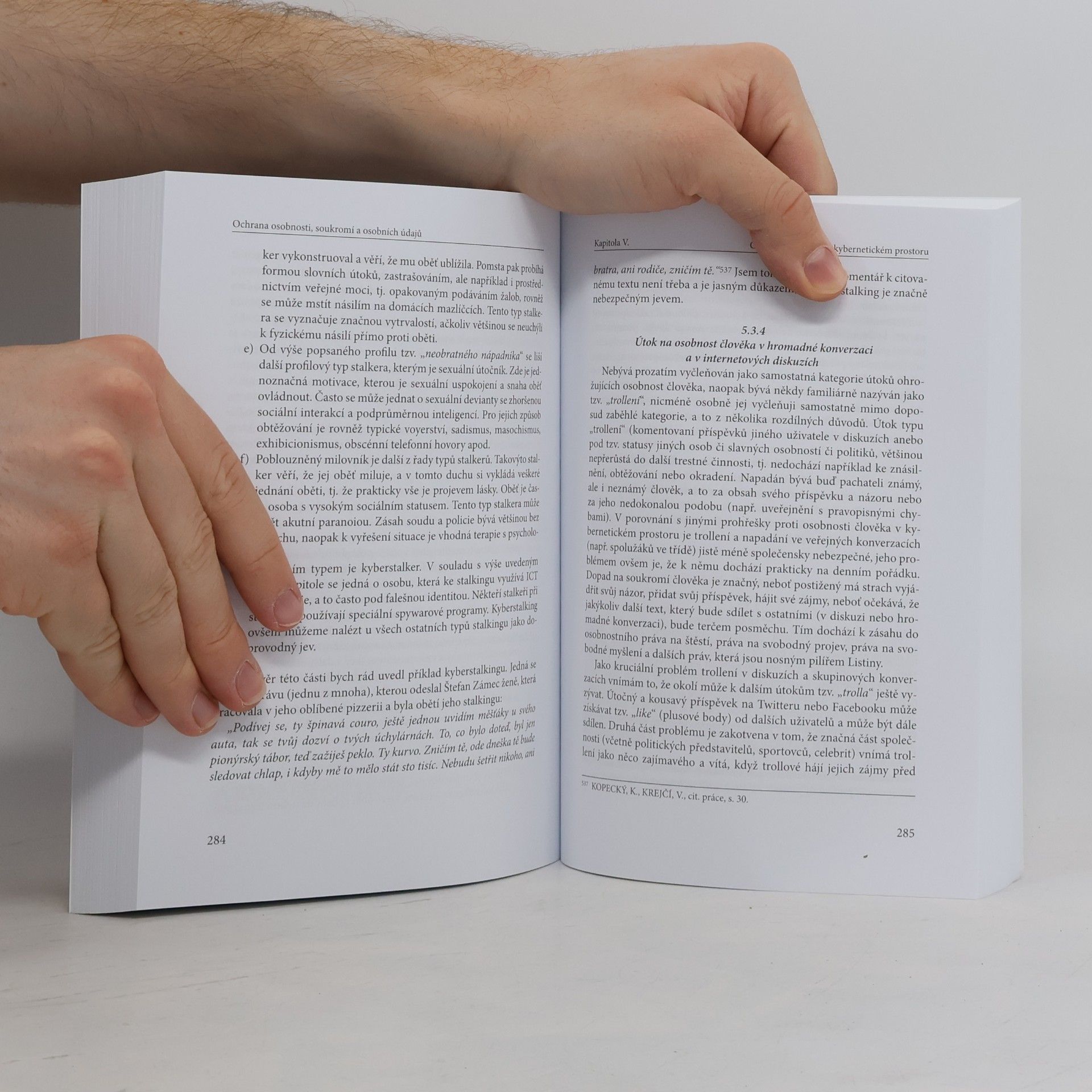 Autorenkollektiv Ochrana osobnosti, soukromí a osobních údajů
