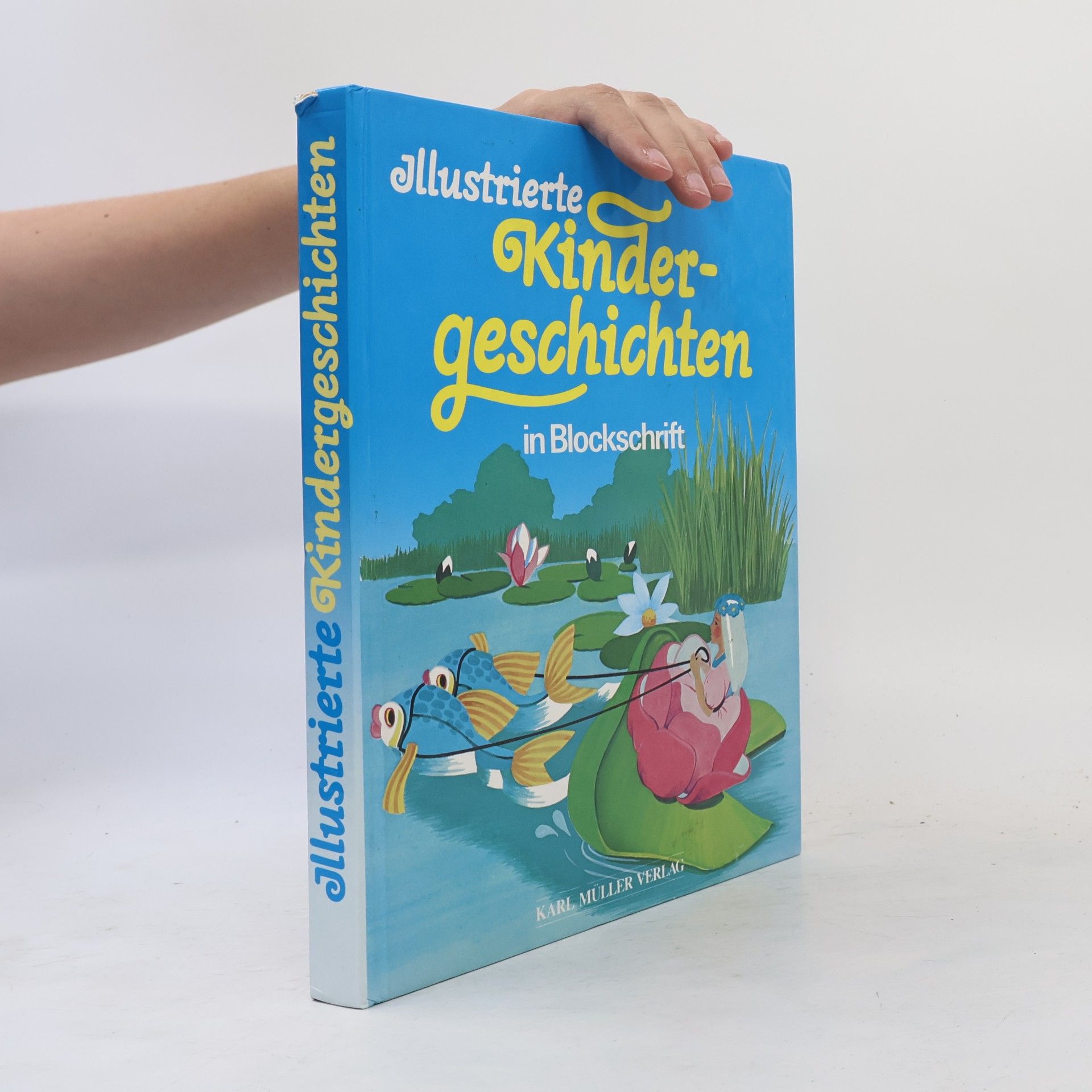Autorenkollektiv Illustrierte Kindergeschichten in Blockschrift