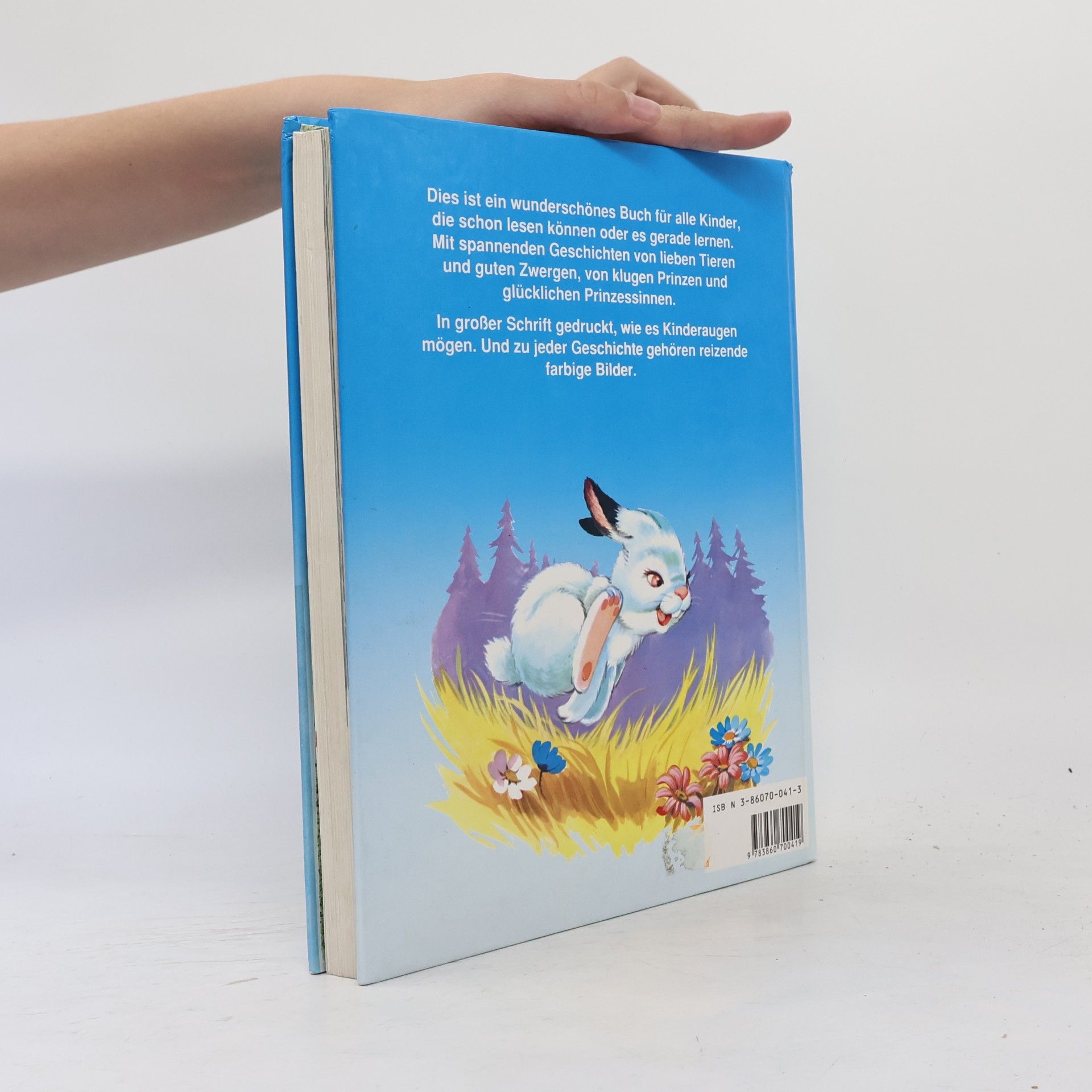 Autorenkollektiv Illustrierte Kindergeschichten in Blockschrift