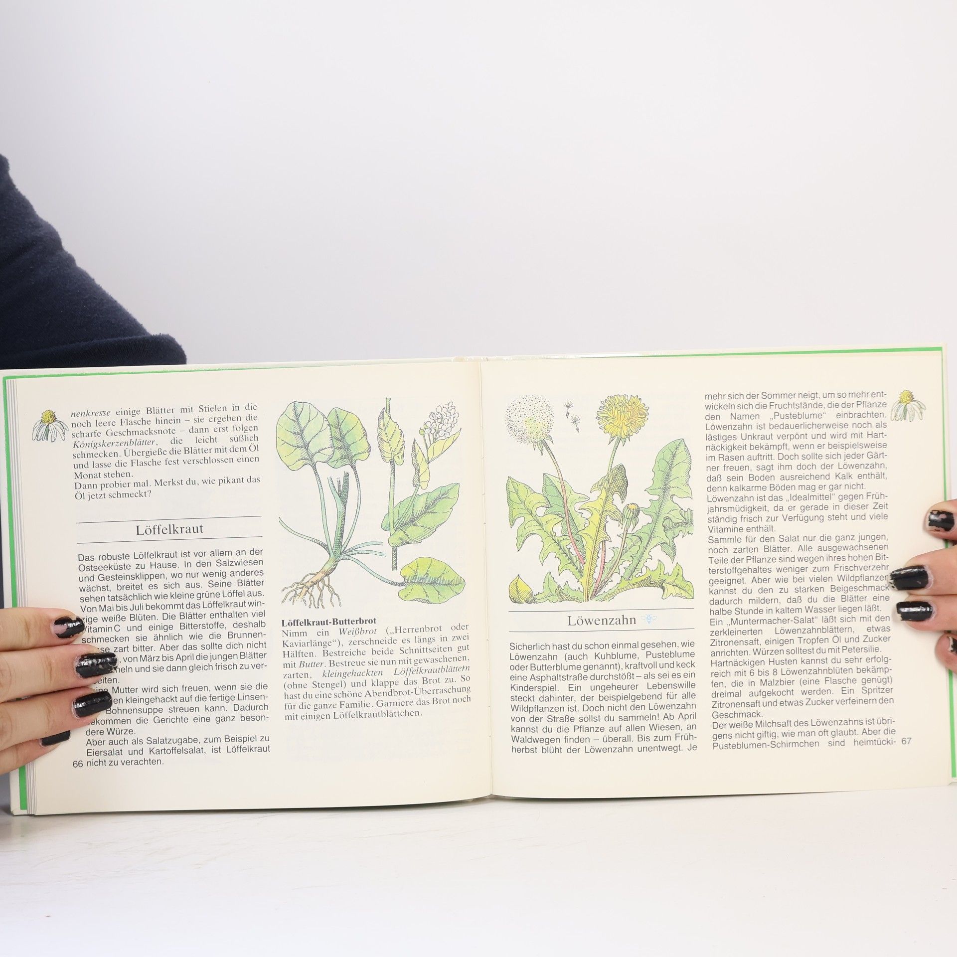 Elisabeth Manke Schätze aus Wald und Flur