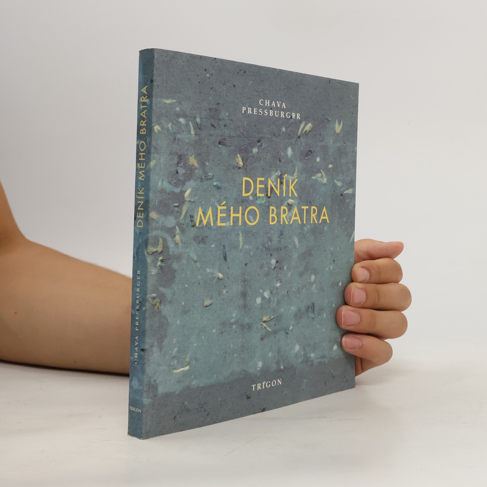 Petr Ginz Deník mého bratra