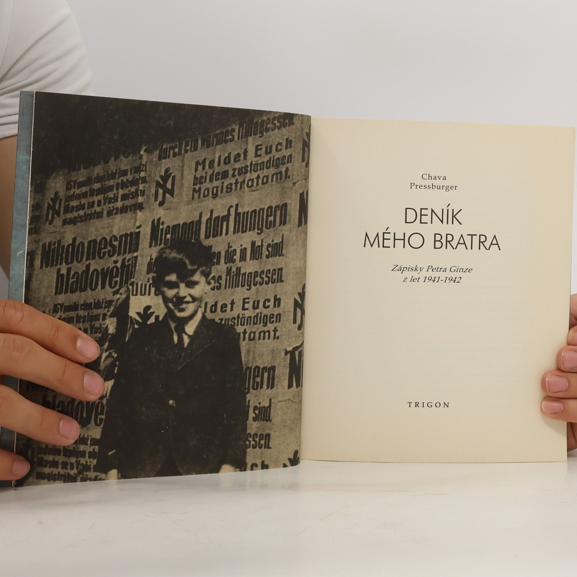 Chava Pressburger Deník mého bratra