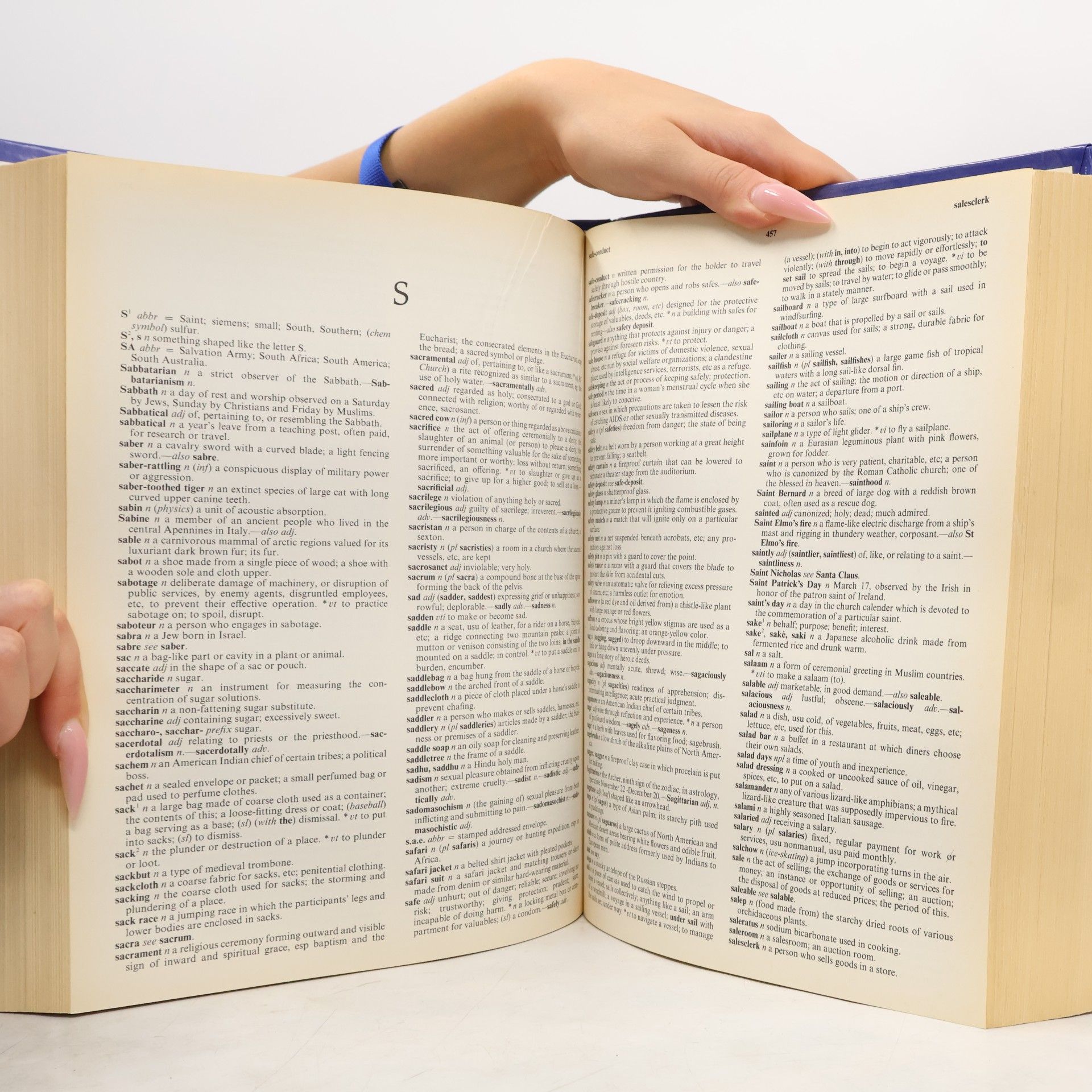 Noah Webster Webster's Universal Dictionary and Thesaurus
