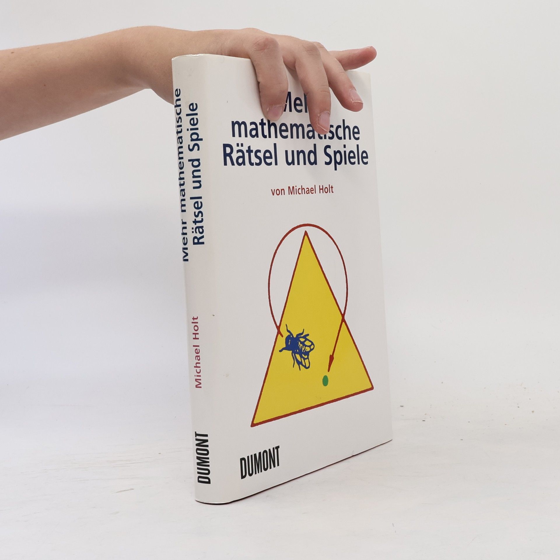 Michael Holt Mehr mathematische Rätsel und Spiele