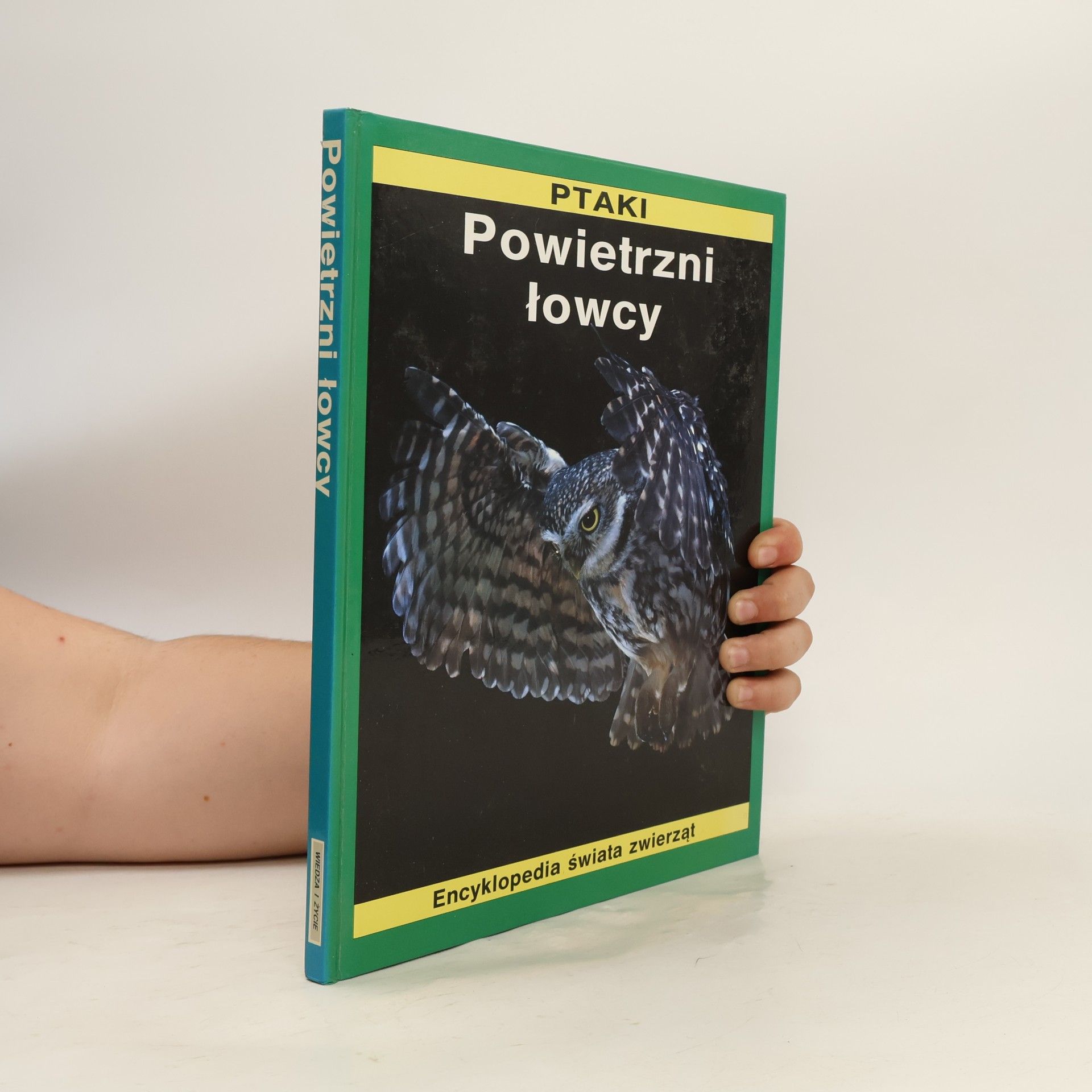 Powietrzni łowcy