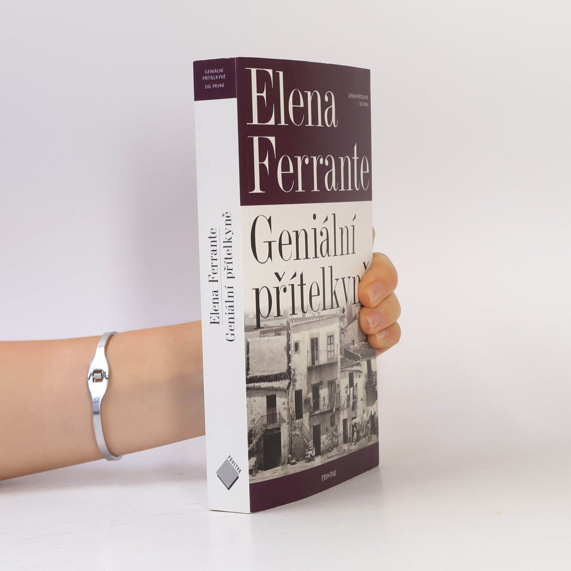 Elena Ferrante Geniální přítelkyně 1. Dětství a dospívání