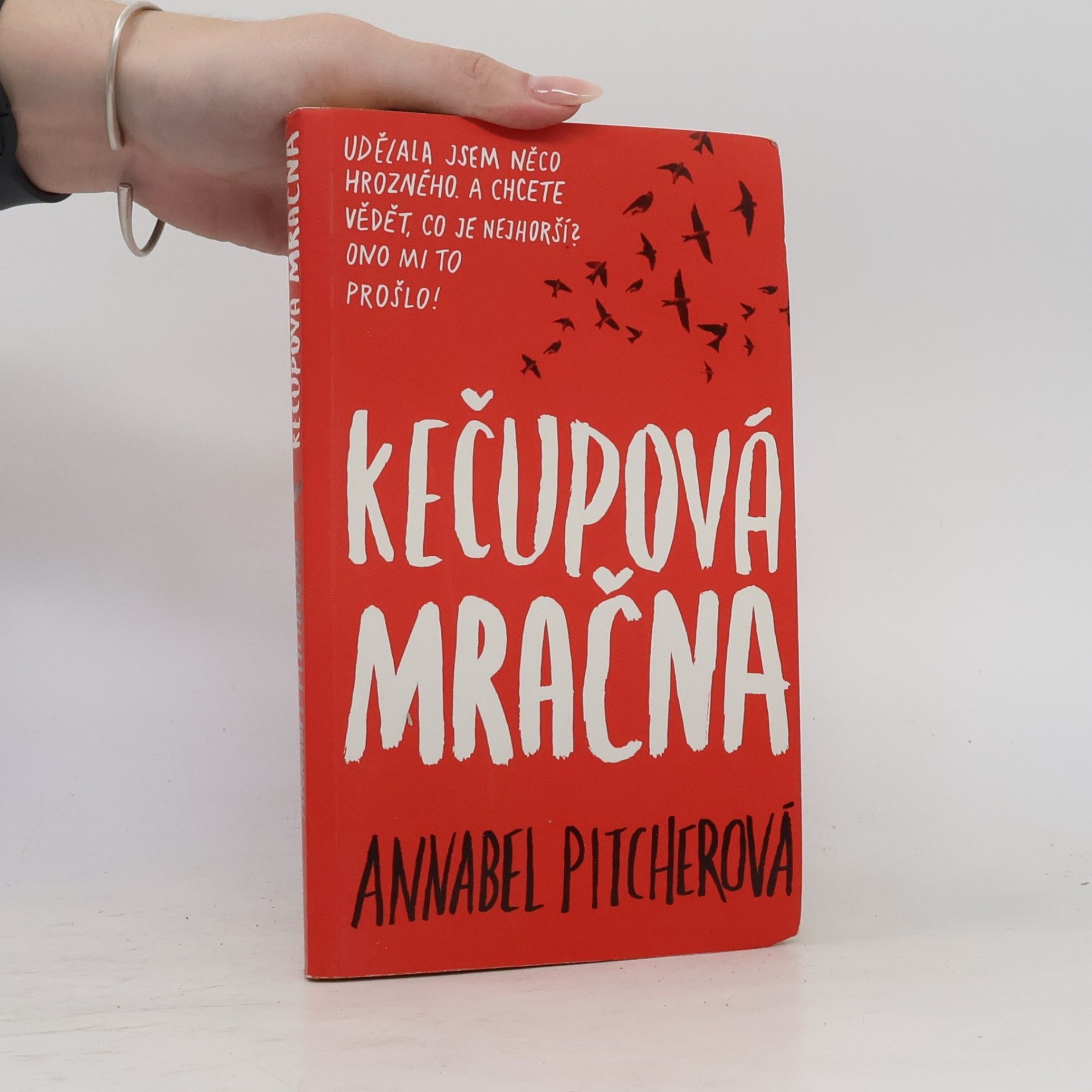 Annabel Pitcher Kečupová mračna