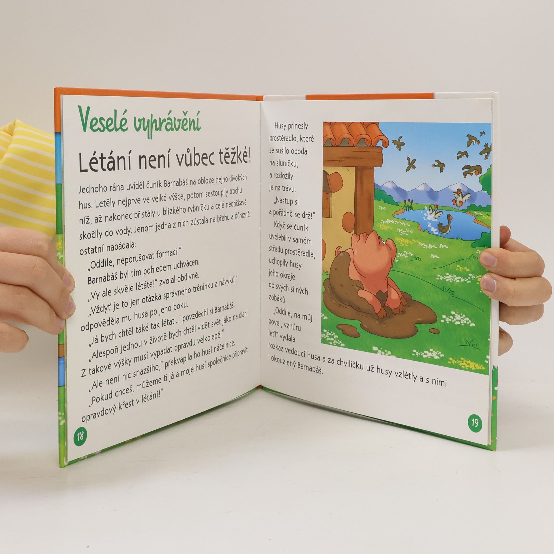 Various authors Na dvorku 29. Husa