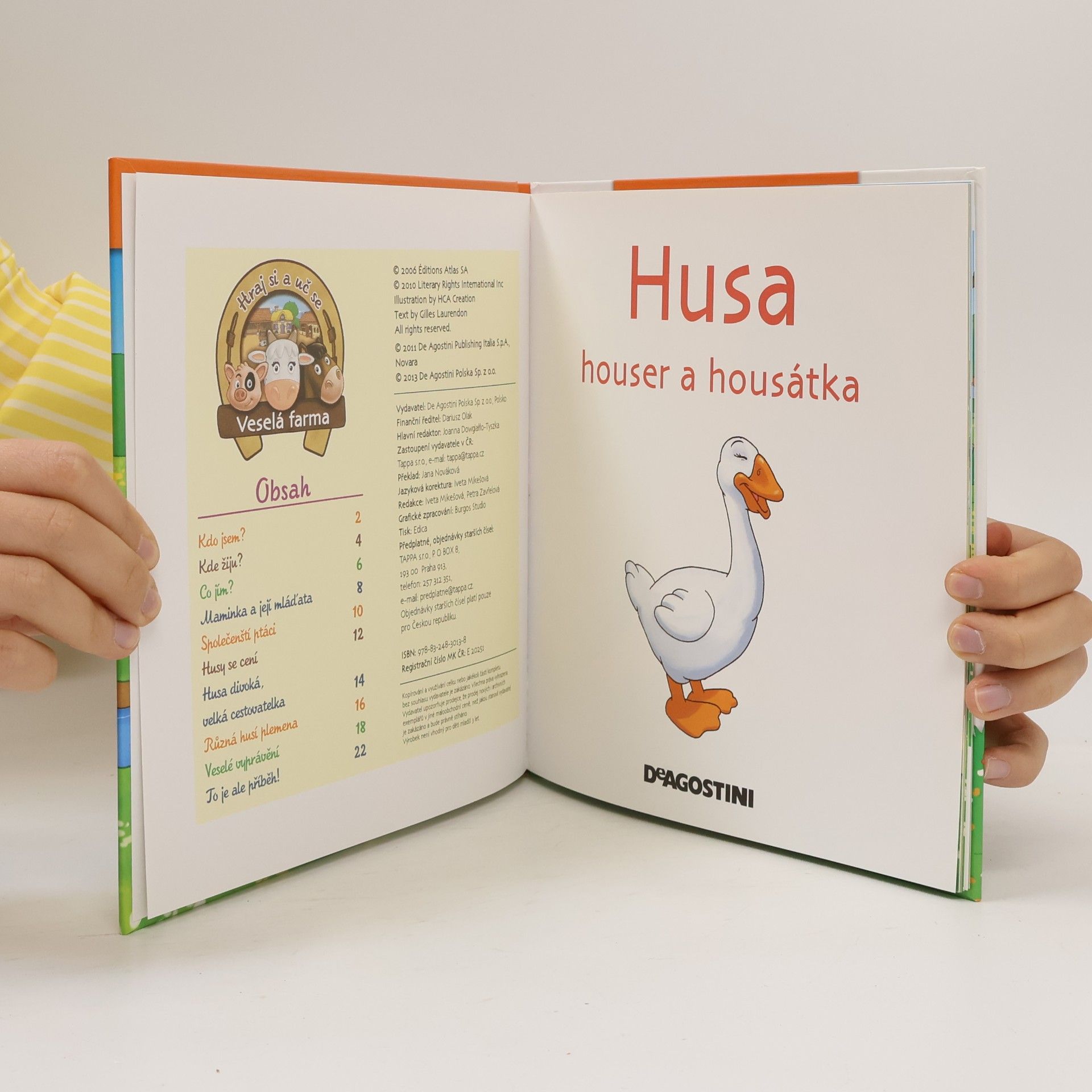 Various authors Na dvorku 29. Husa