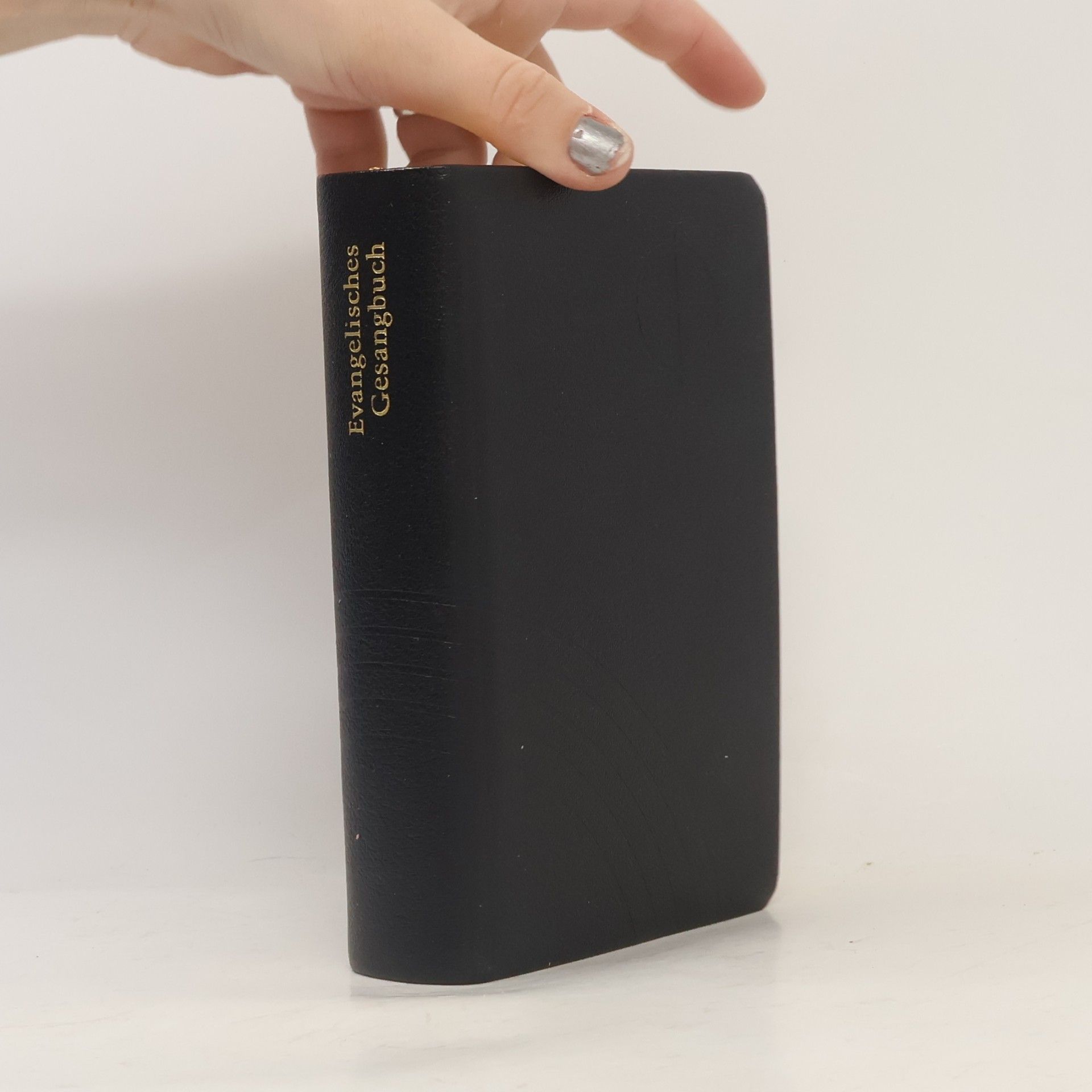 Kolektiv autorů Evangelisches Gesangbuch
