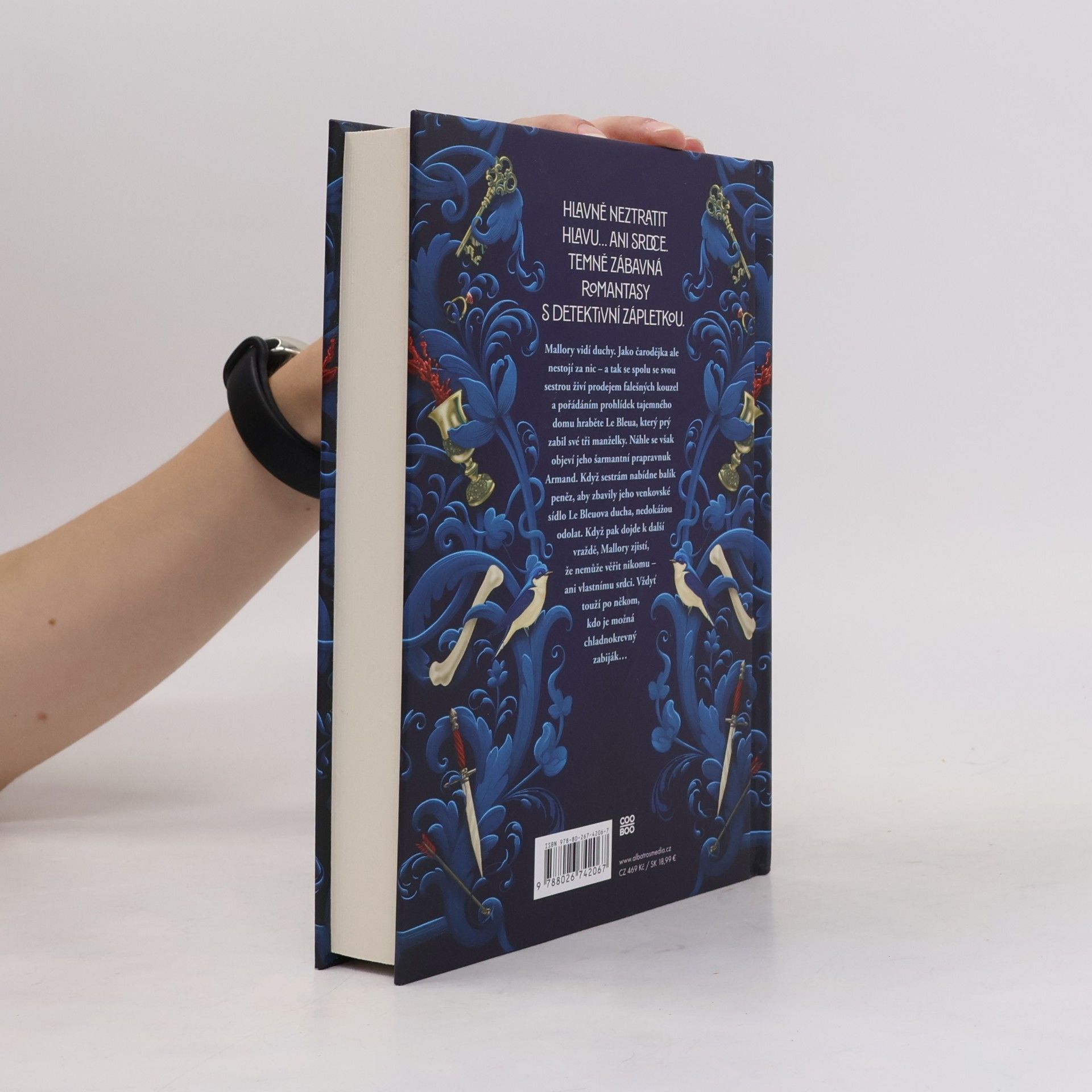 Marissa Meyer Dům rodu Safírů