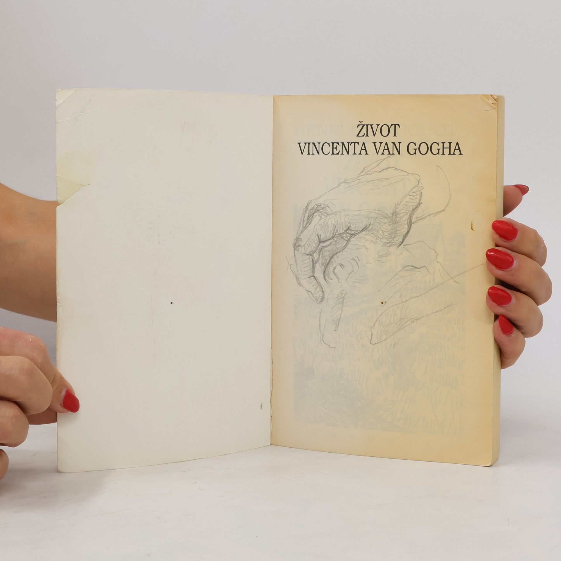 Henri Perruchot Život Vincenta van Gogha