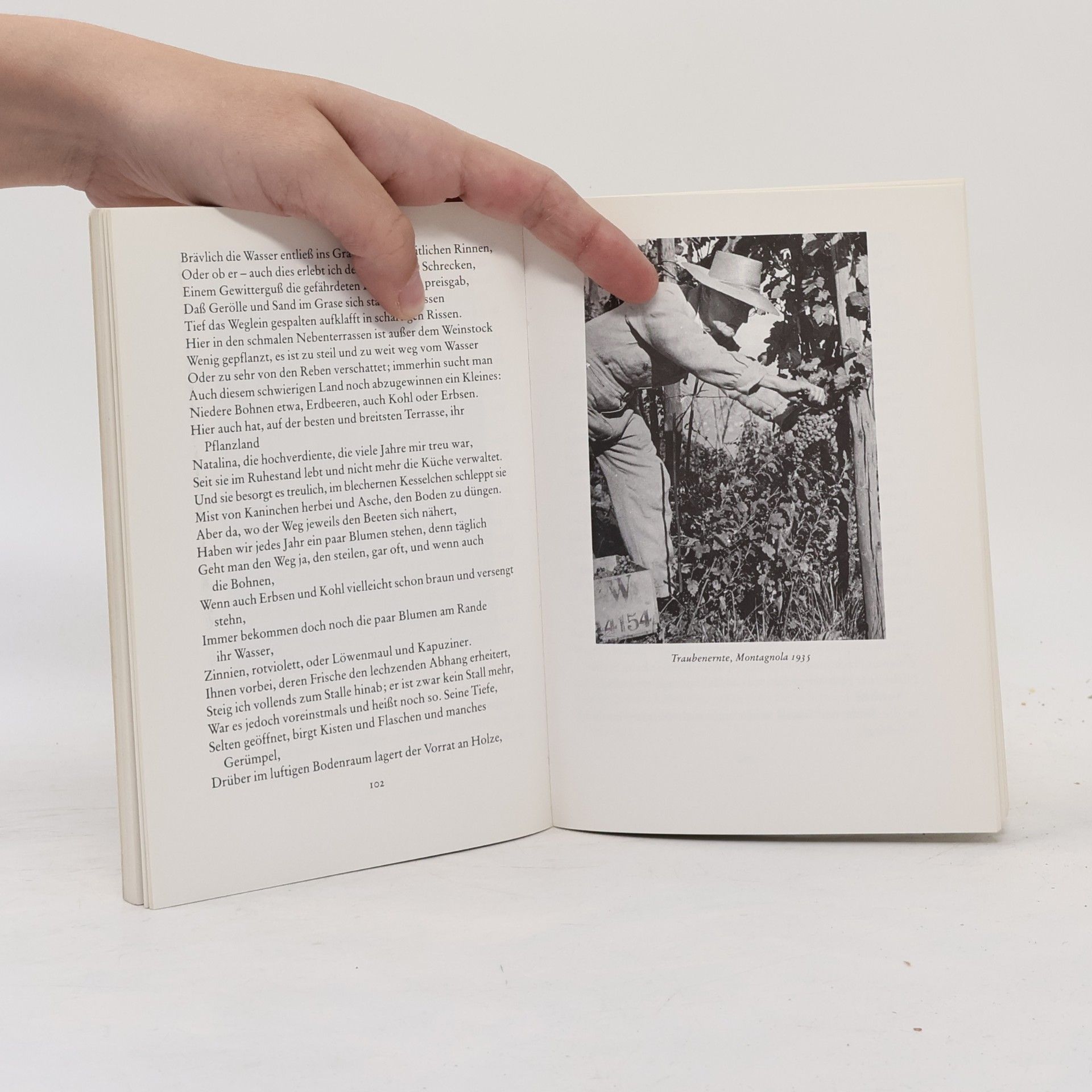 Hermann Hesse Im Garten